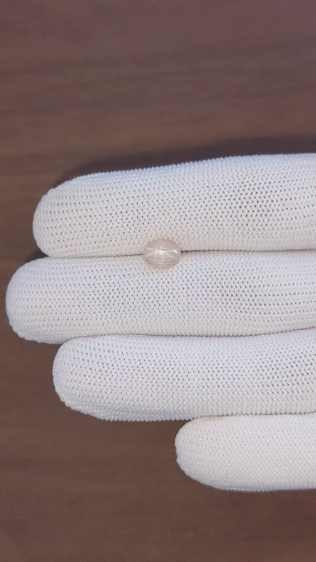 1.63 Ct. Peach Cabochon Star Sapphire from Ceylon (Sri Lanka) Size Video