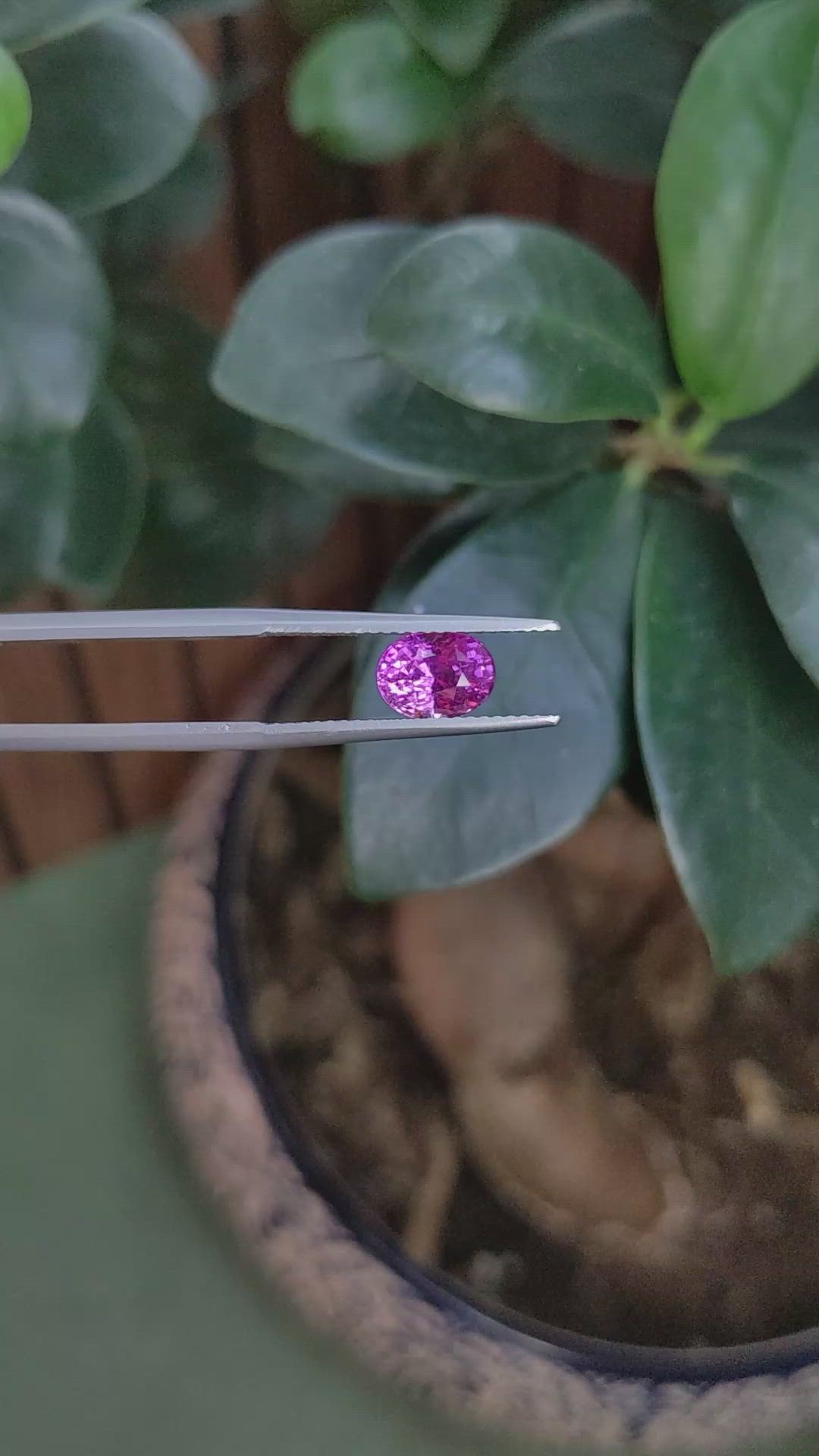 1.81 Ct. Purplish Pink Sapphire from Madagascar Size Video