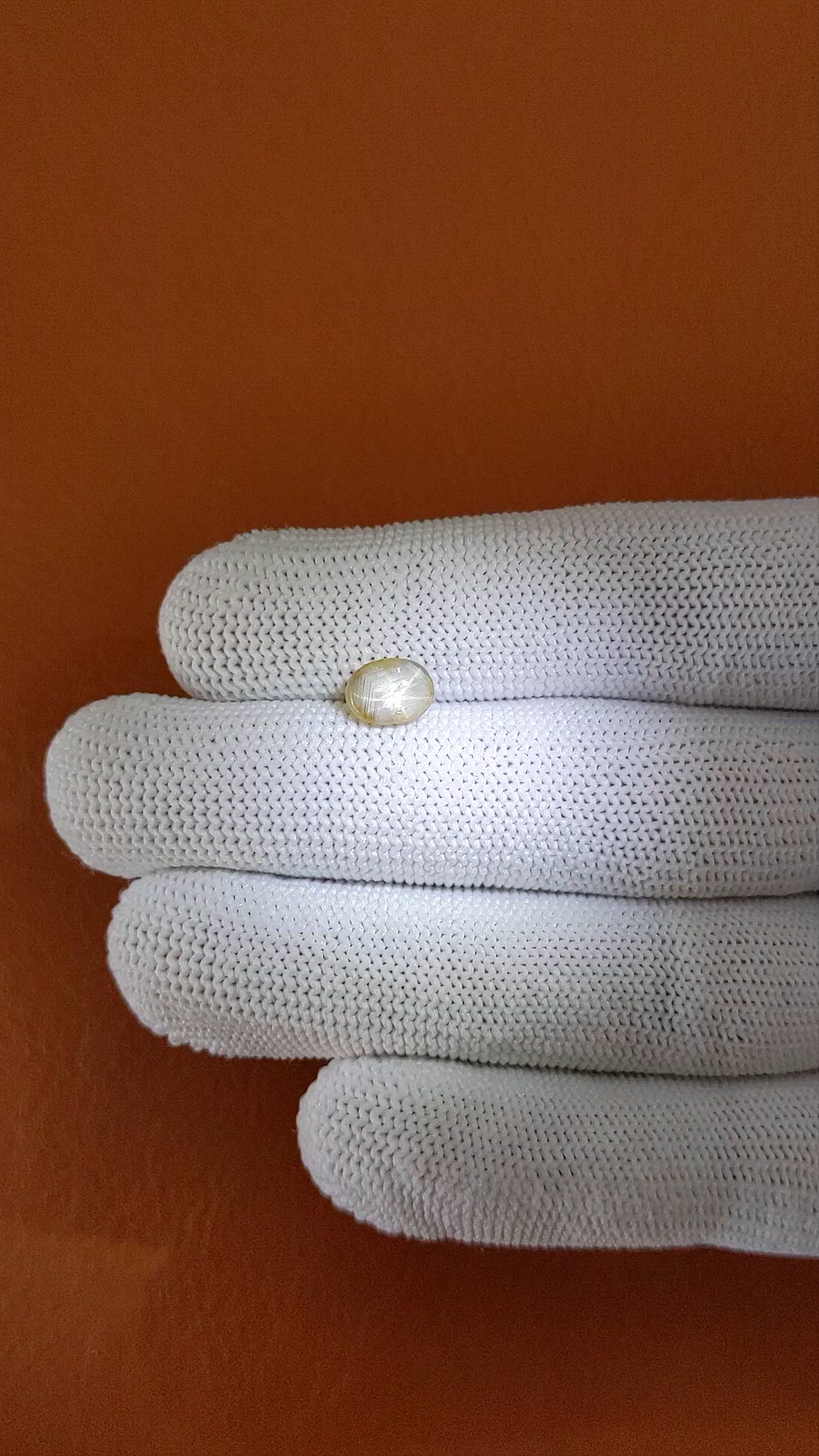 1.71 Ct. Yellow Cabochon Star Sapphire from Ceylon (Sri Lanka) Size Video