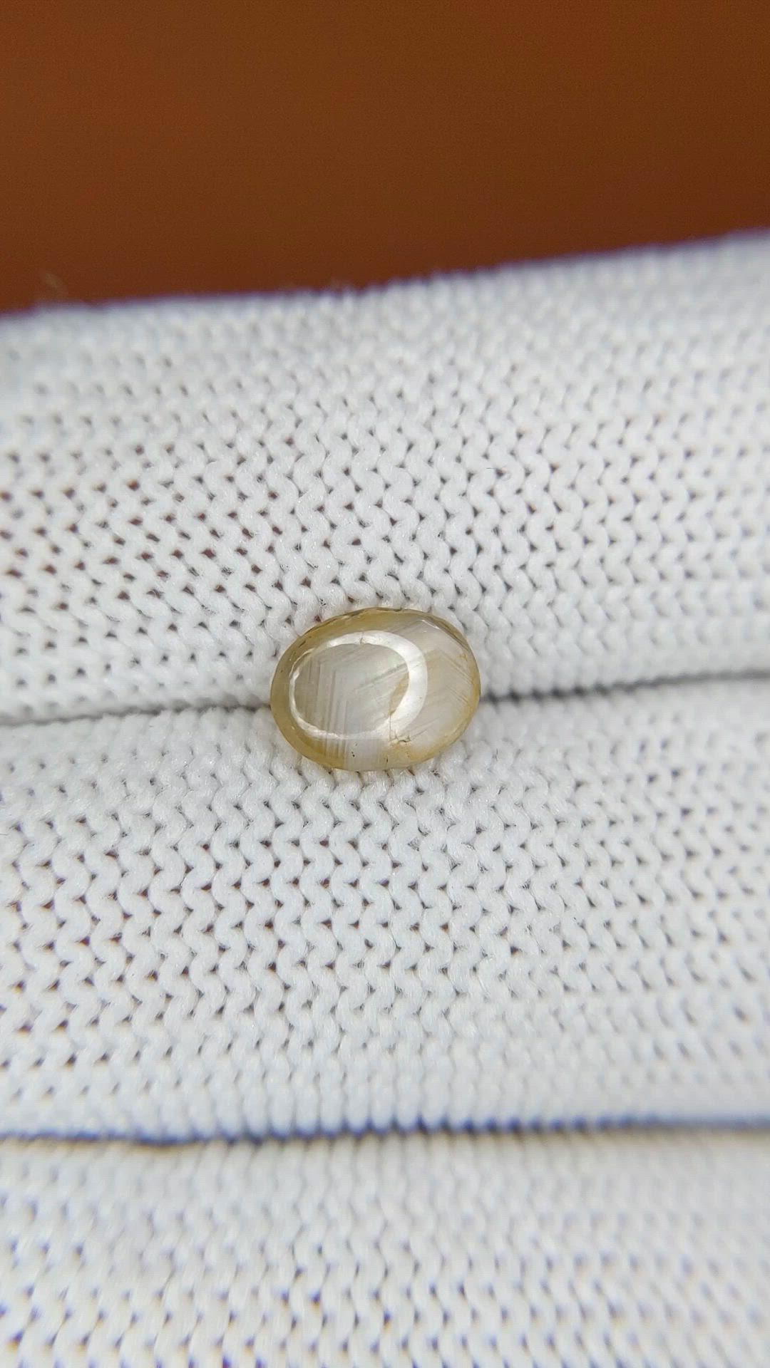 1.71 Ct. Yellow Cabochon Star Sapphire from Ceylon (Sri Lanka) Size Video