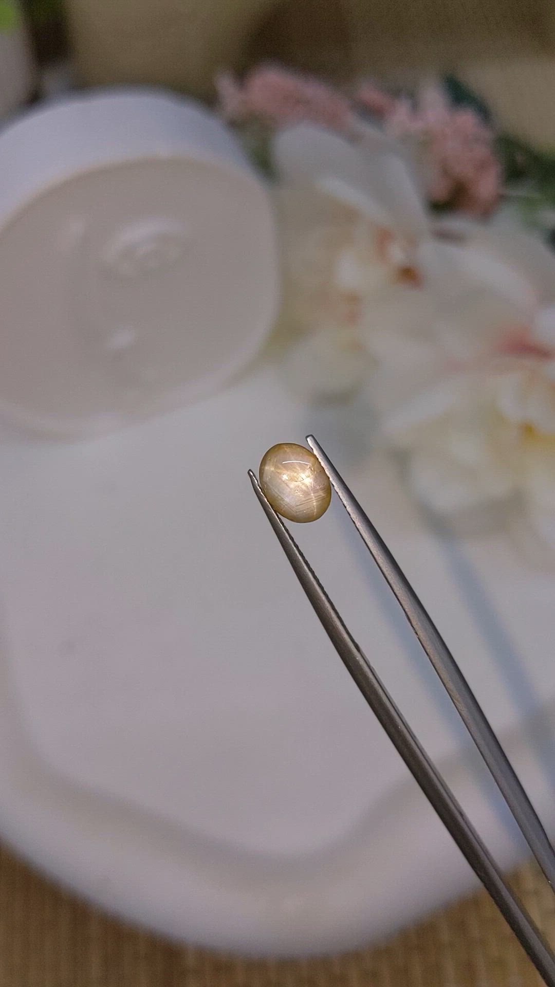 1.71 Ct. Yellow Cabochon Star Sapphire from Ceylon (Sri Lanka) Size Video