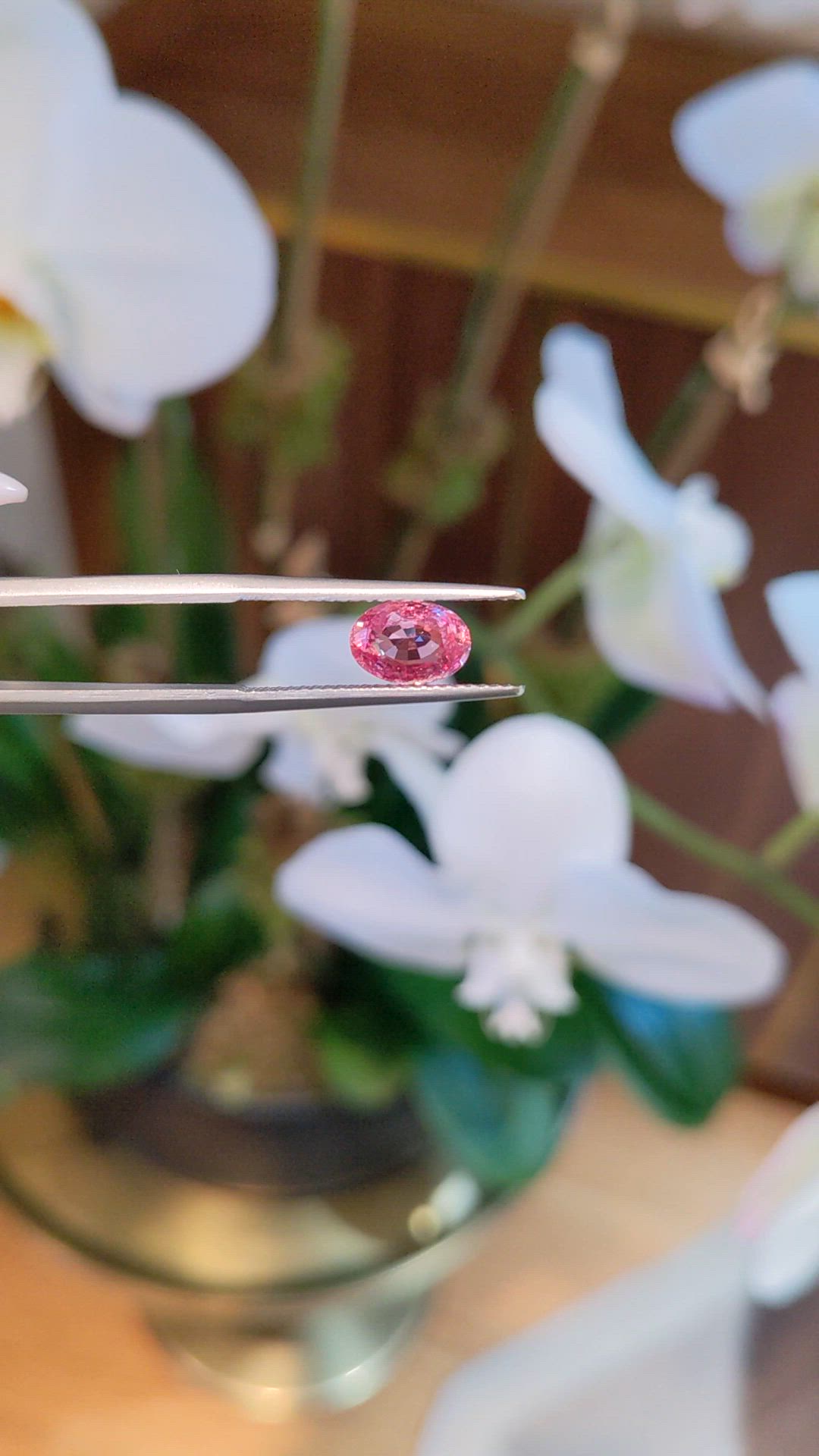 1.55 Ct. Padparadscha Sapphire from Ceylon (Sri Lanka) Size Video