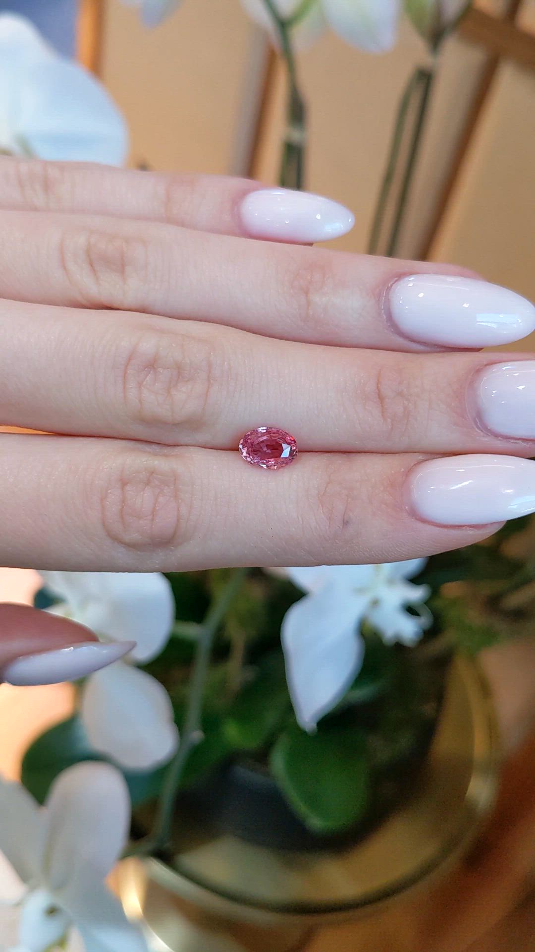 1.55 Ct. Padparadscha Sapphire from Ceylon (Sri Lanka) Size Video