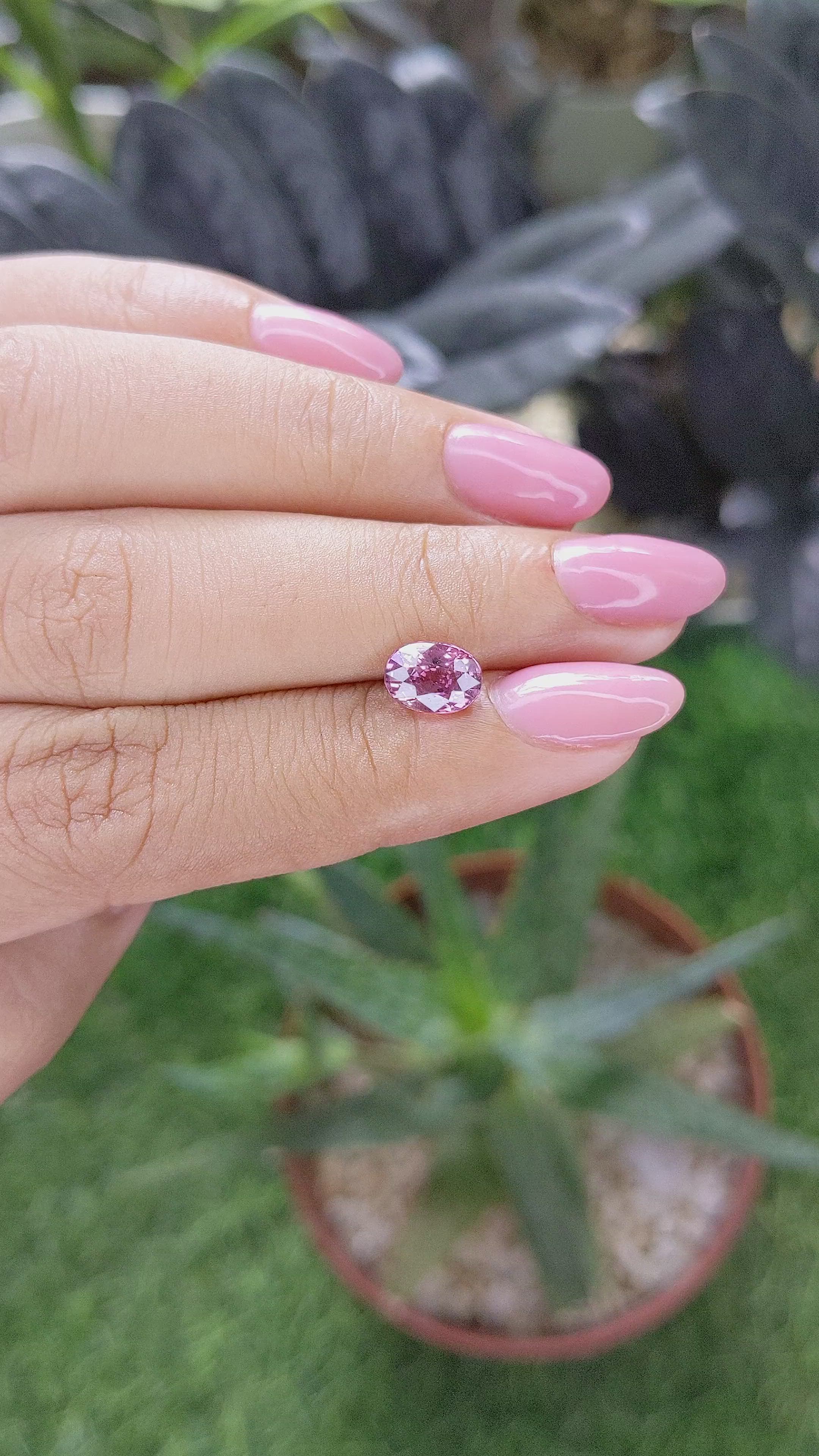 1.56 Ct. Padparadscha Sapphire from Ceylon (Sri Lanka) Size Video