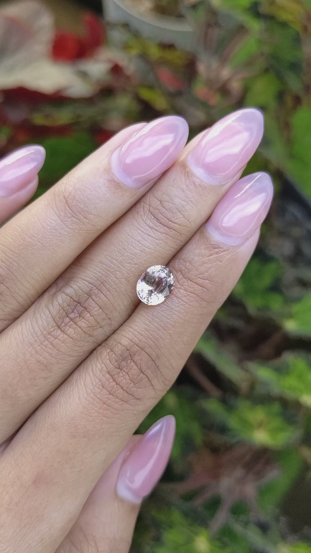 2.25 Ct. Peach Sapphire from Ceylon (Sri Lanka) Size Video