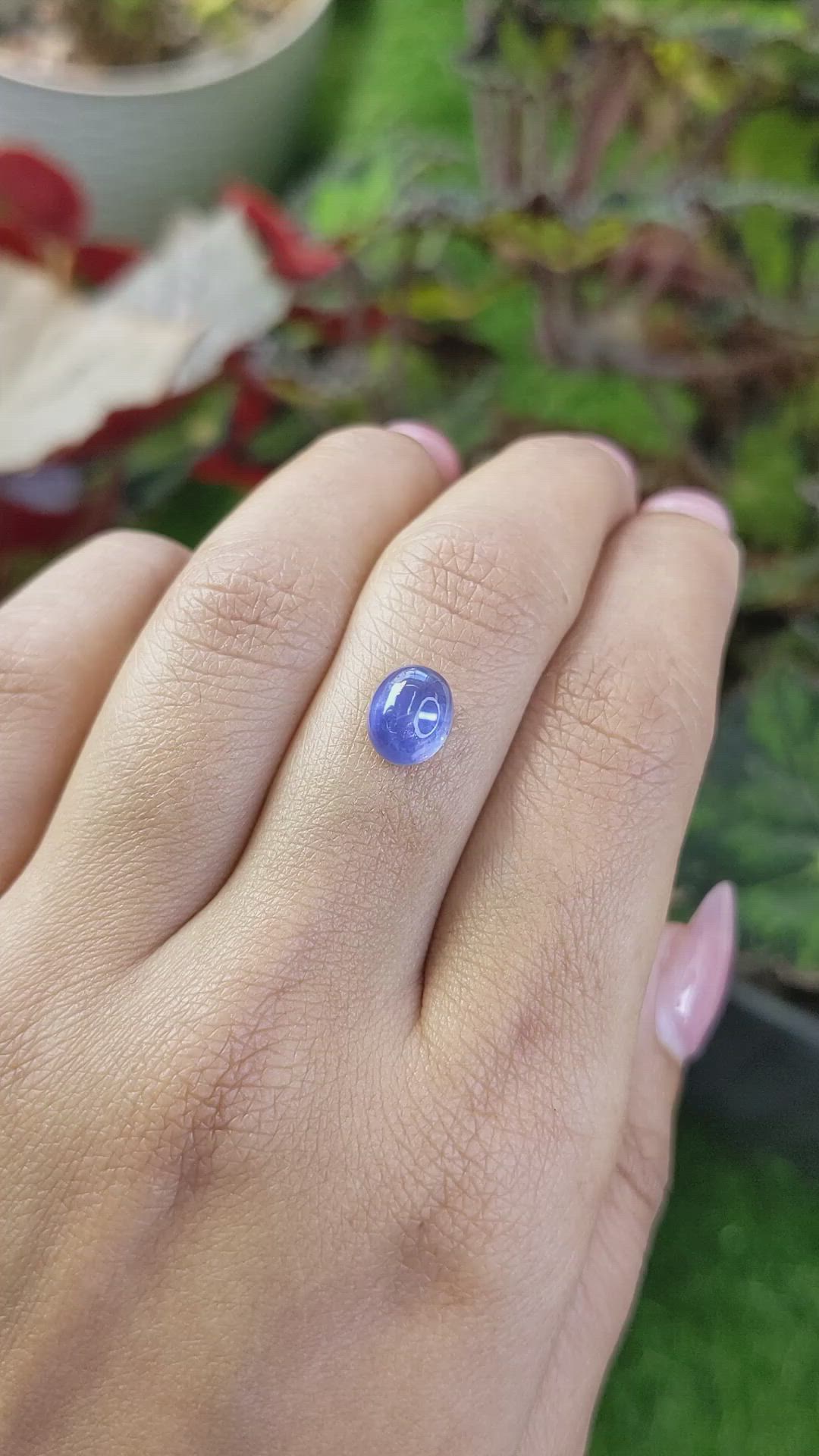 2.95 Ct. Blue Cabochon Star Sapphire from Ceylon (Sri Lanka) Size Video