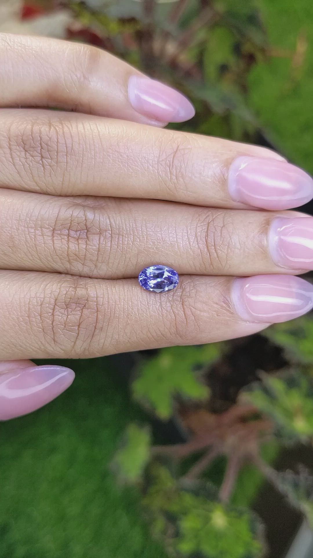 1.27 Ct. Violet Sapphire from Ceylon (Sri Lanka) Size Video