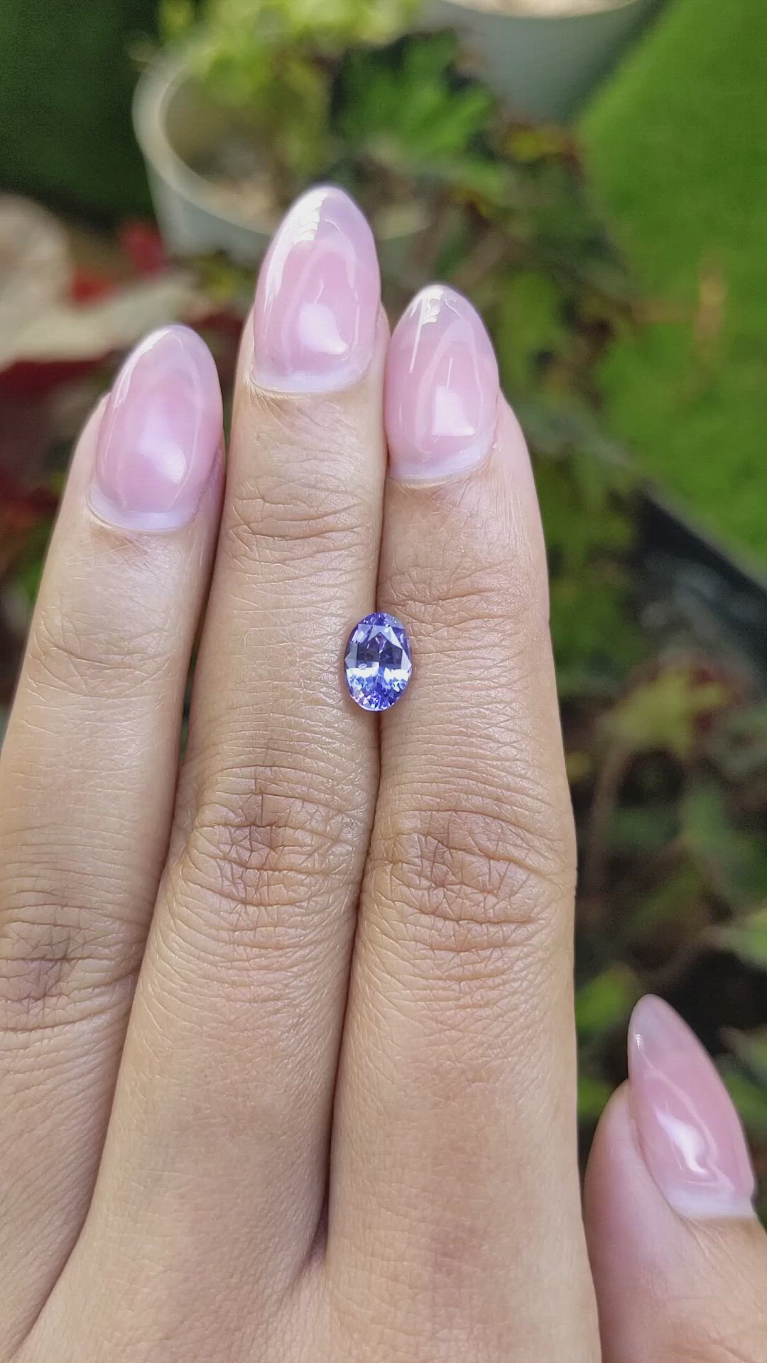 1.27 Ct. Violet Sapphire from Ceylon (Sri Lanka) Size Video