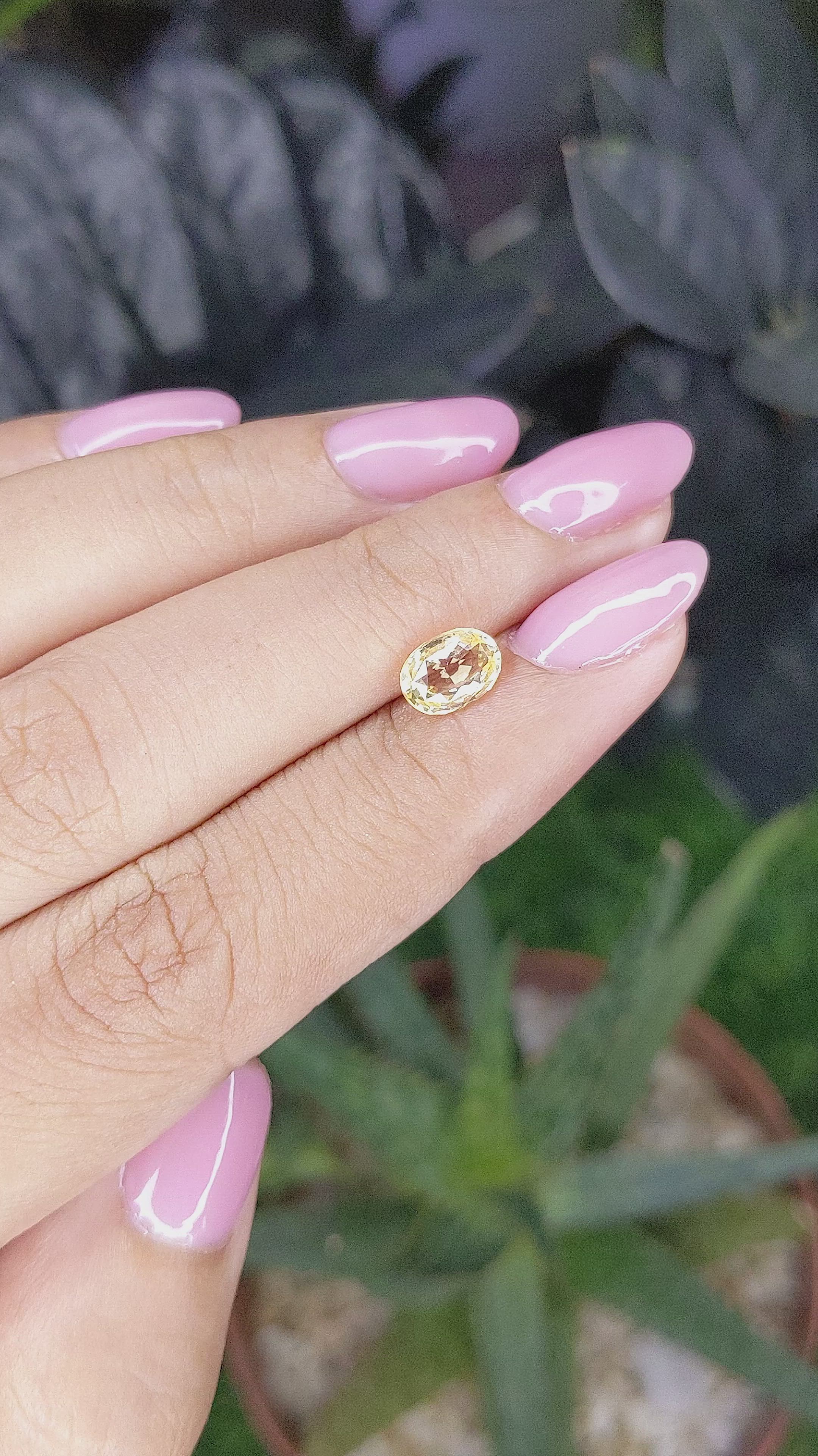 1.30 Ct. Yellow Sapphire from Ceylon (Sri Lanka) Size Video