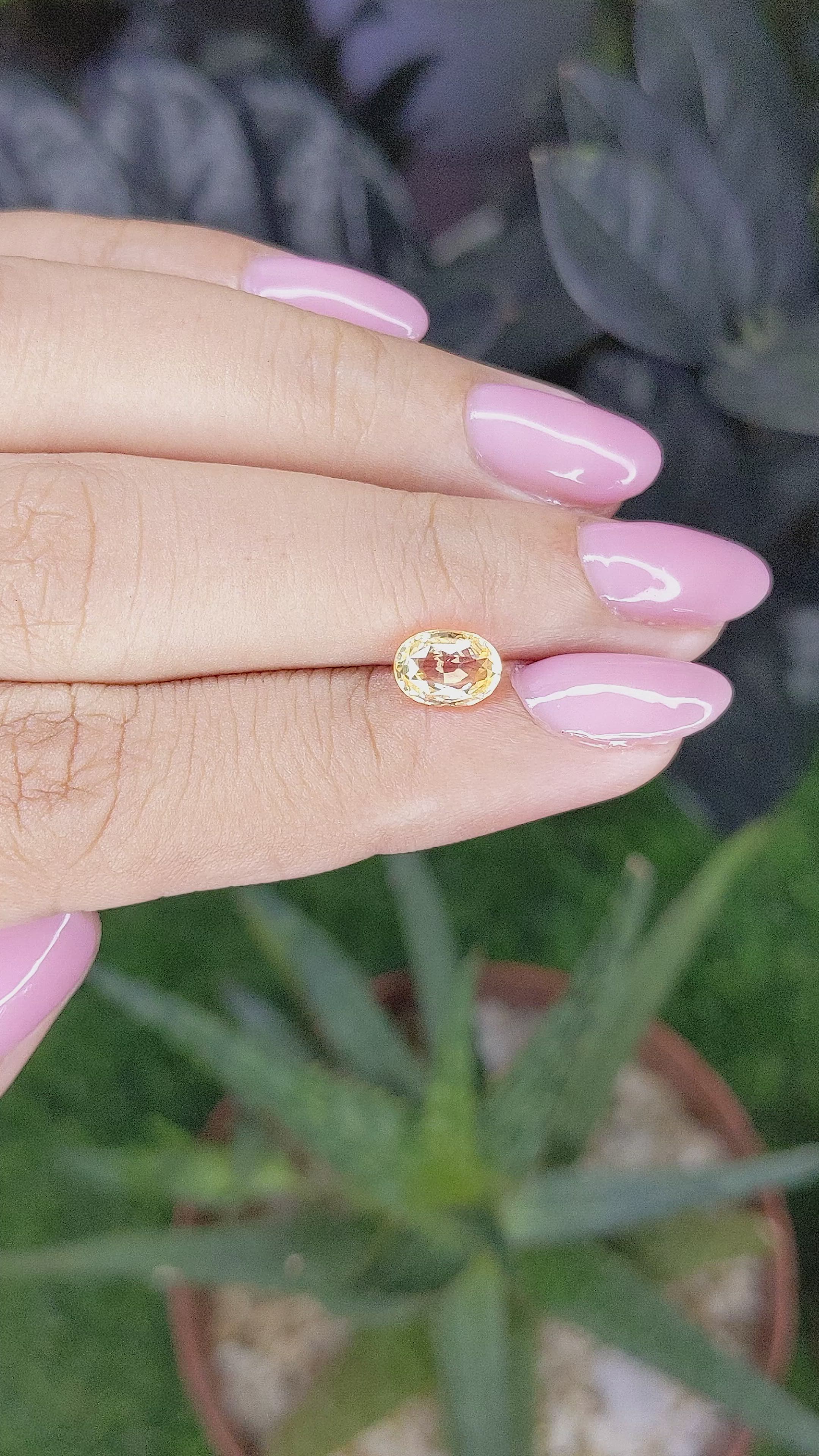 1.30 Ct. Yellow Sapphire from Ceylon (Sri Lanka) Size Video