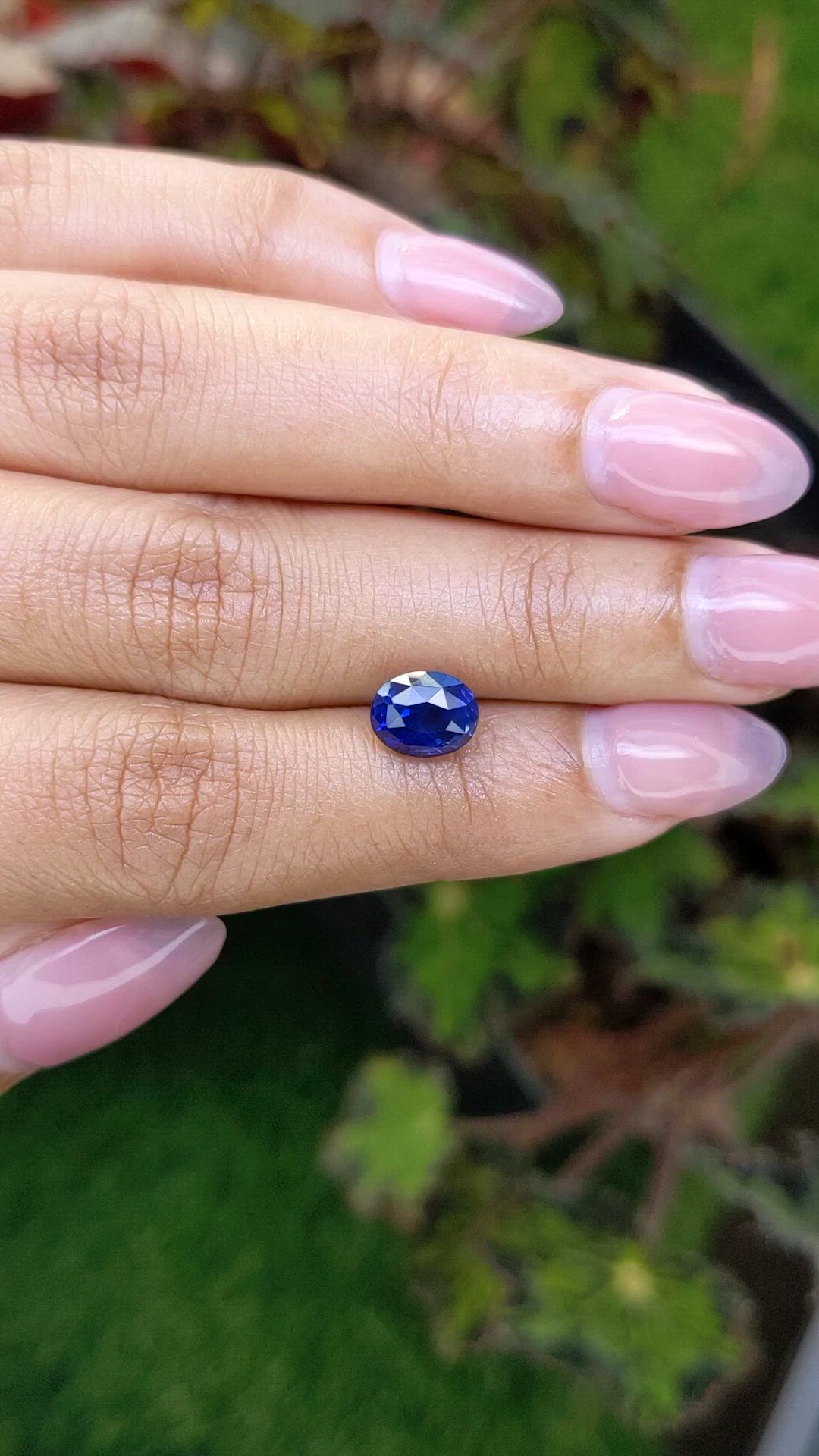 2.51 Ct. Blue Sapphire from Ceylon (Sri Lanka) Size Video