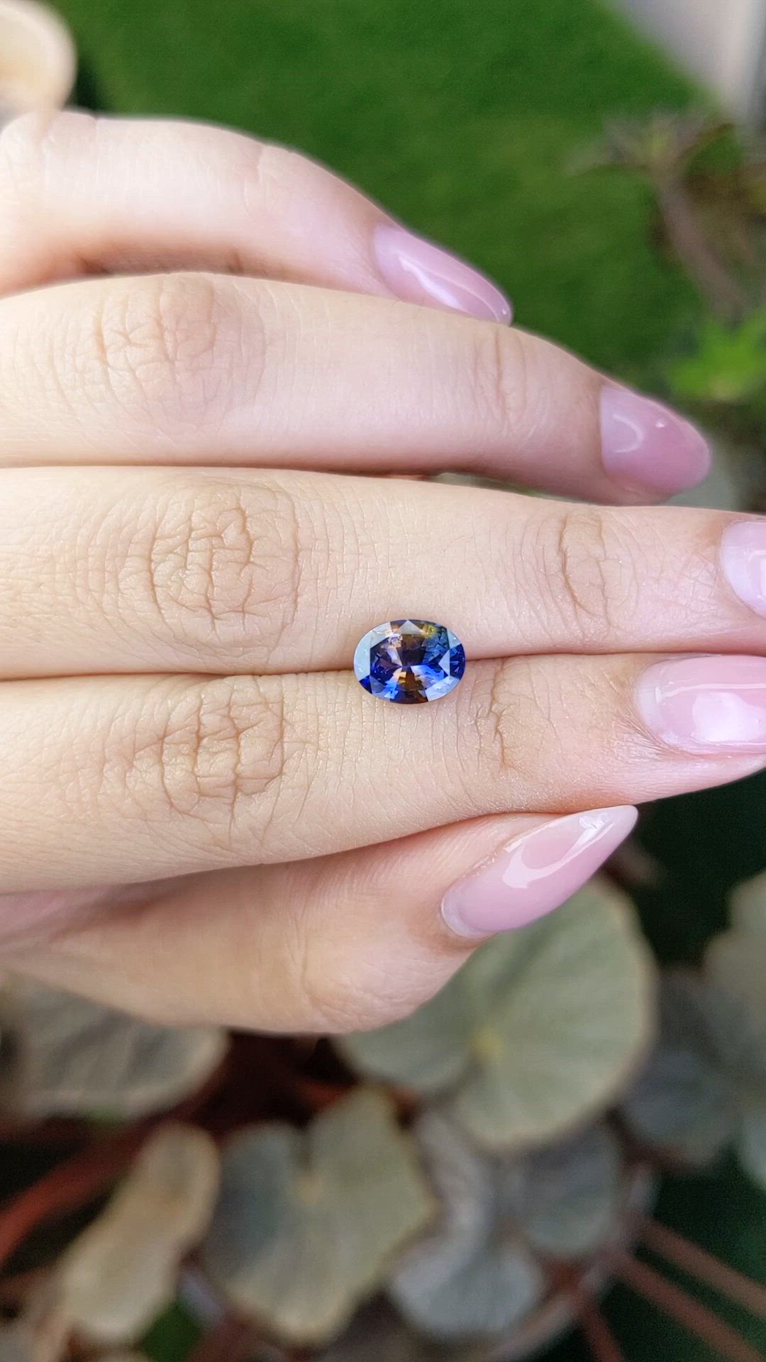 2.07 Ct. Bi Color / Parti Sapphire from Ceylon (Sri Lanka) Size Video