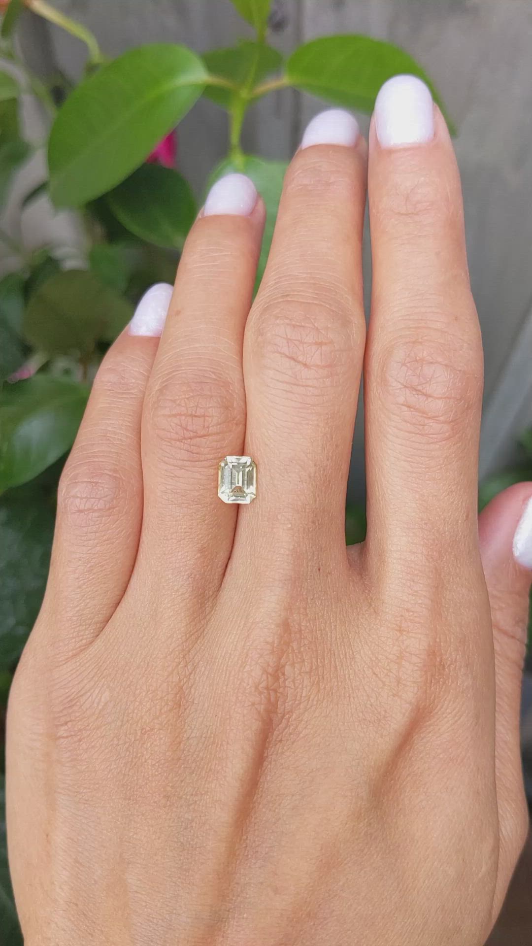 1.55 Ct. Yellow Sapphire from Ceylon (Sri Lanka) Size Video