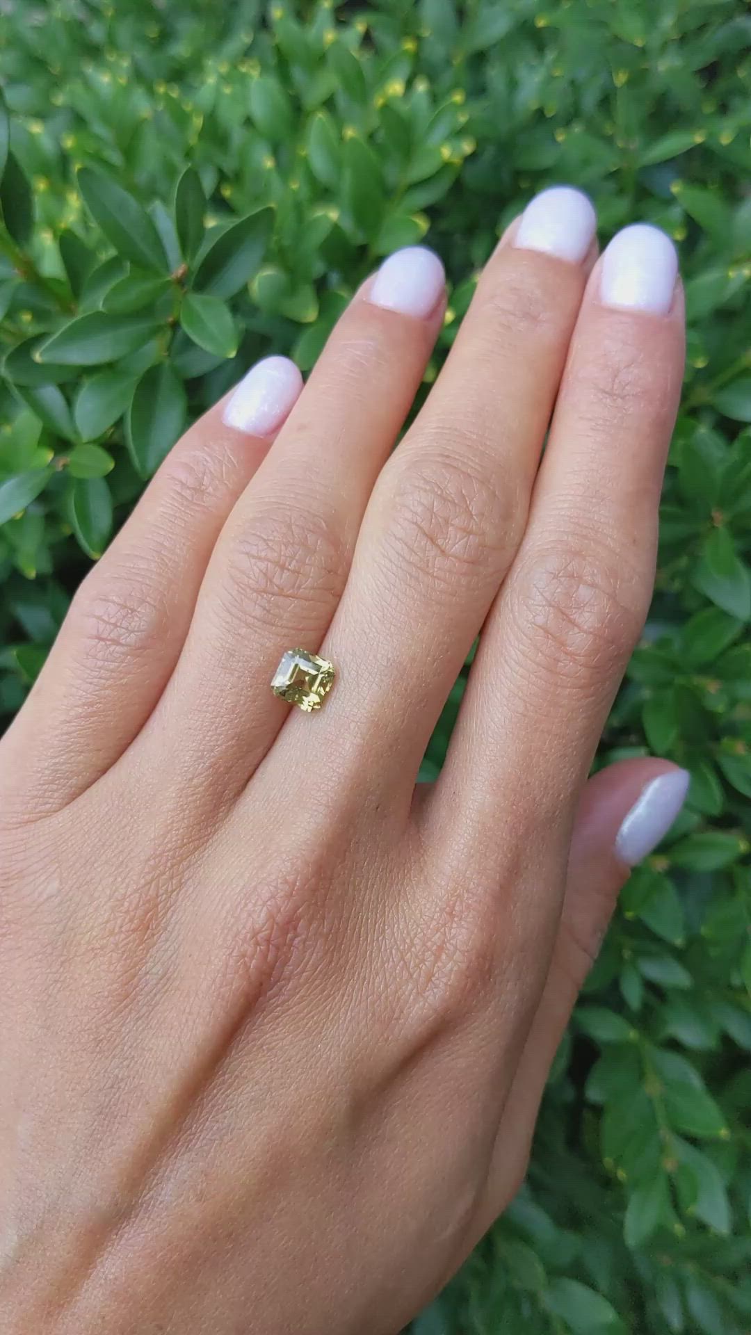 1.70 Ct. Greenish Yellow Sapphire from Madagascar Size Video