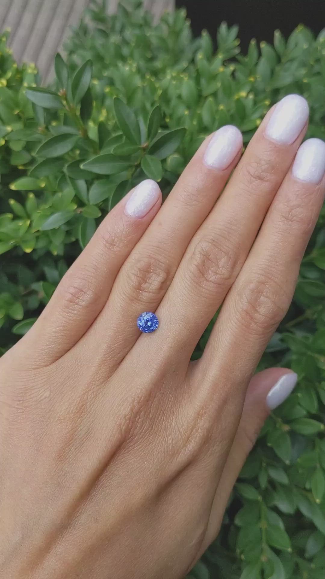 1.27 Ct. Blue Sapphire from Ceylon (Sri Lanka) Size Video