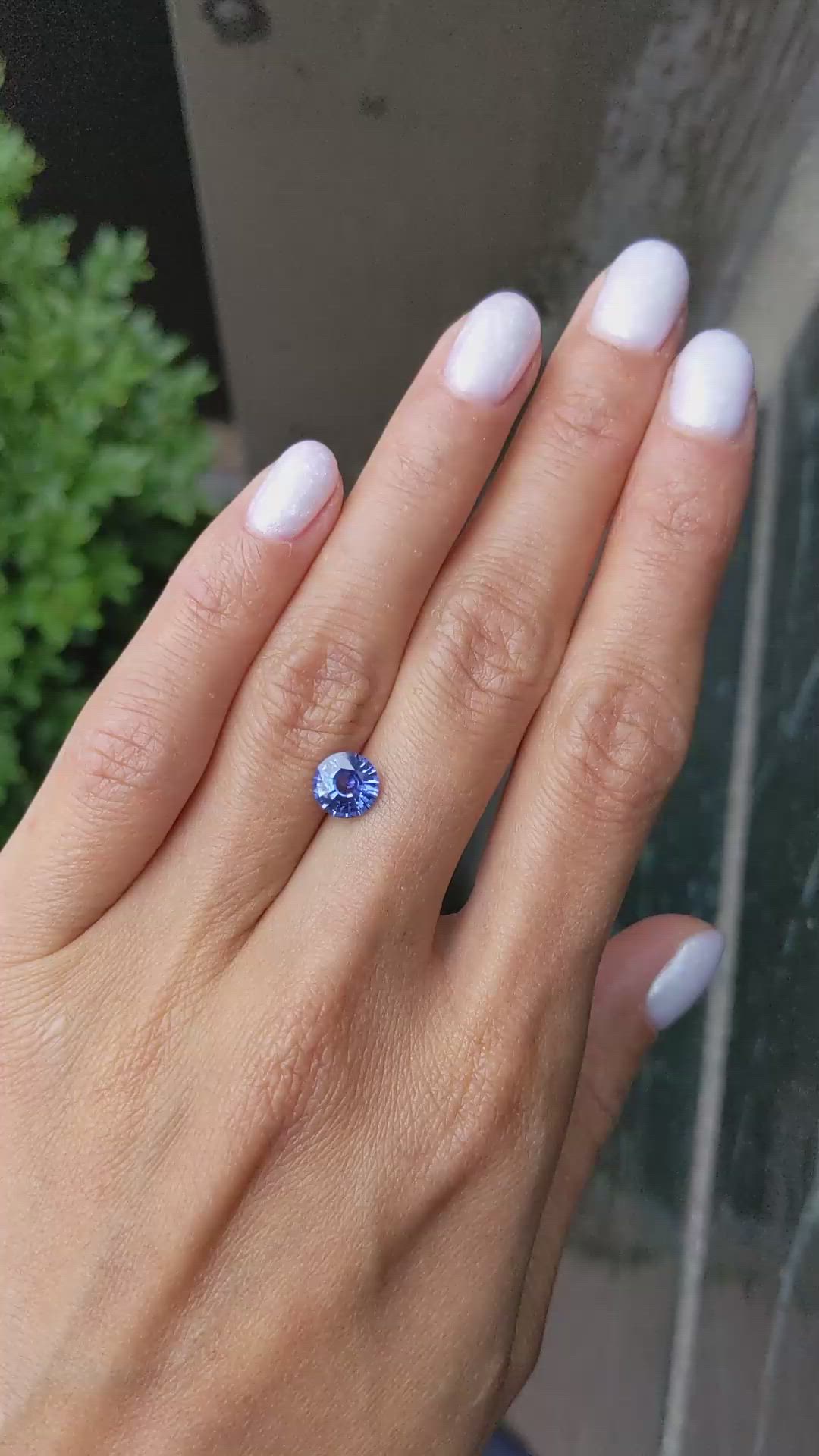 1.58 Ct. Blue Sapphire from Ceylon (Sri Lanka) Size Video