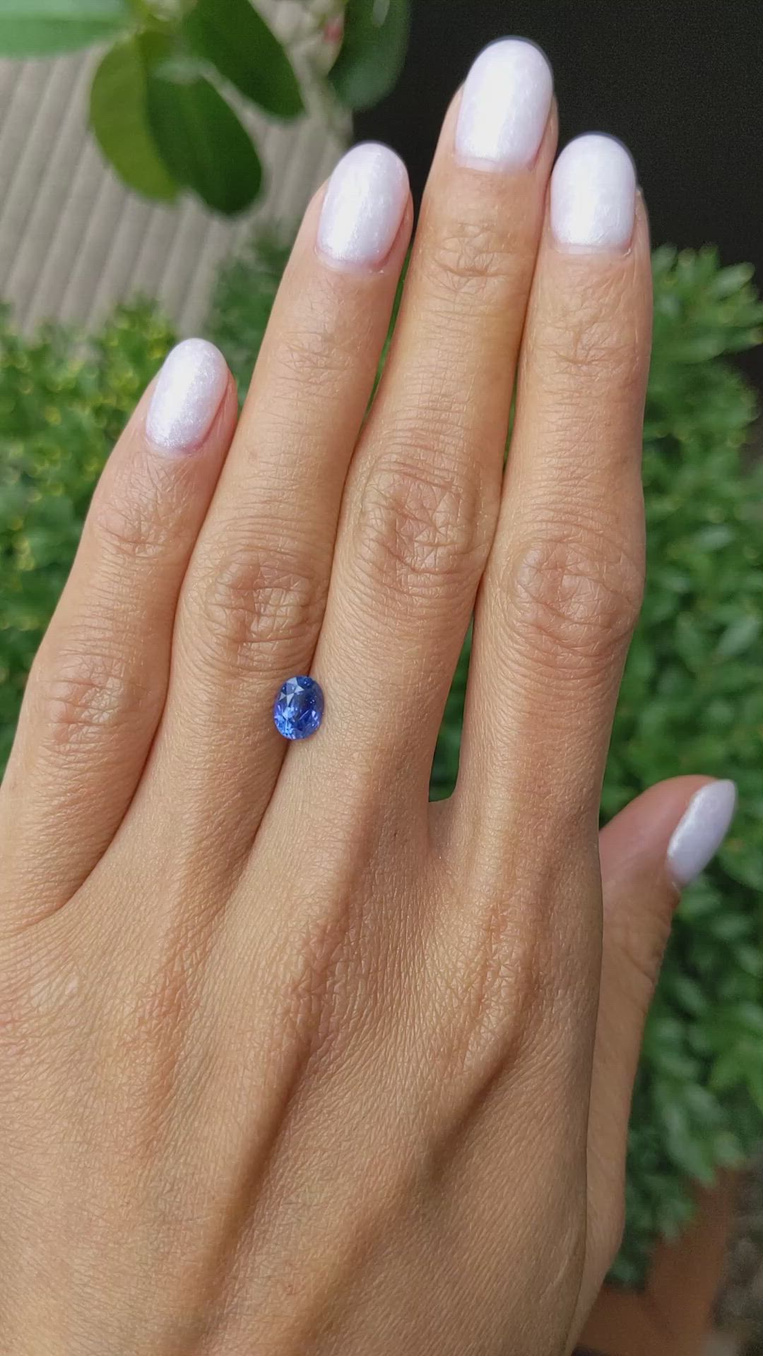 1.24 Ct. Blue Sapphire from Ceylon (Sri Lanka) Size Video