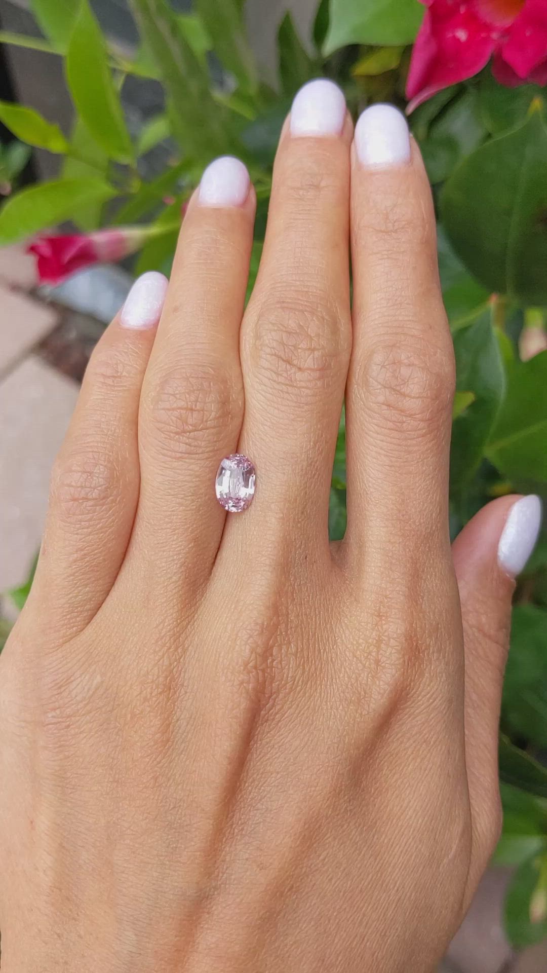 1.75 Ct. Pink Sapphire from Ceylon (Sri Lanka) Size Video