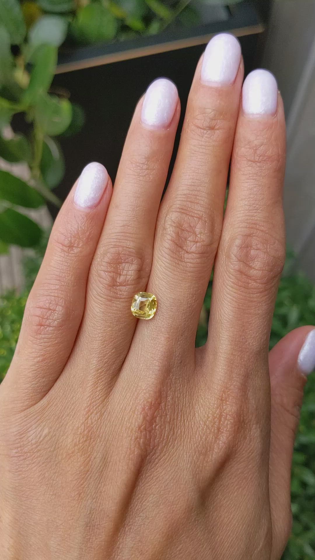 1.51 Ct. Yellow Sapphire from Ceylon (Sri Lanka) Size Video