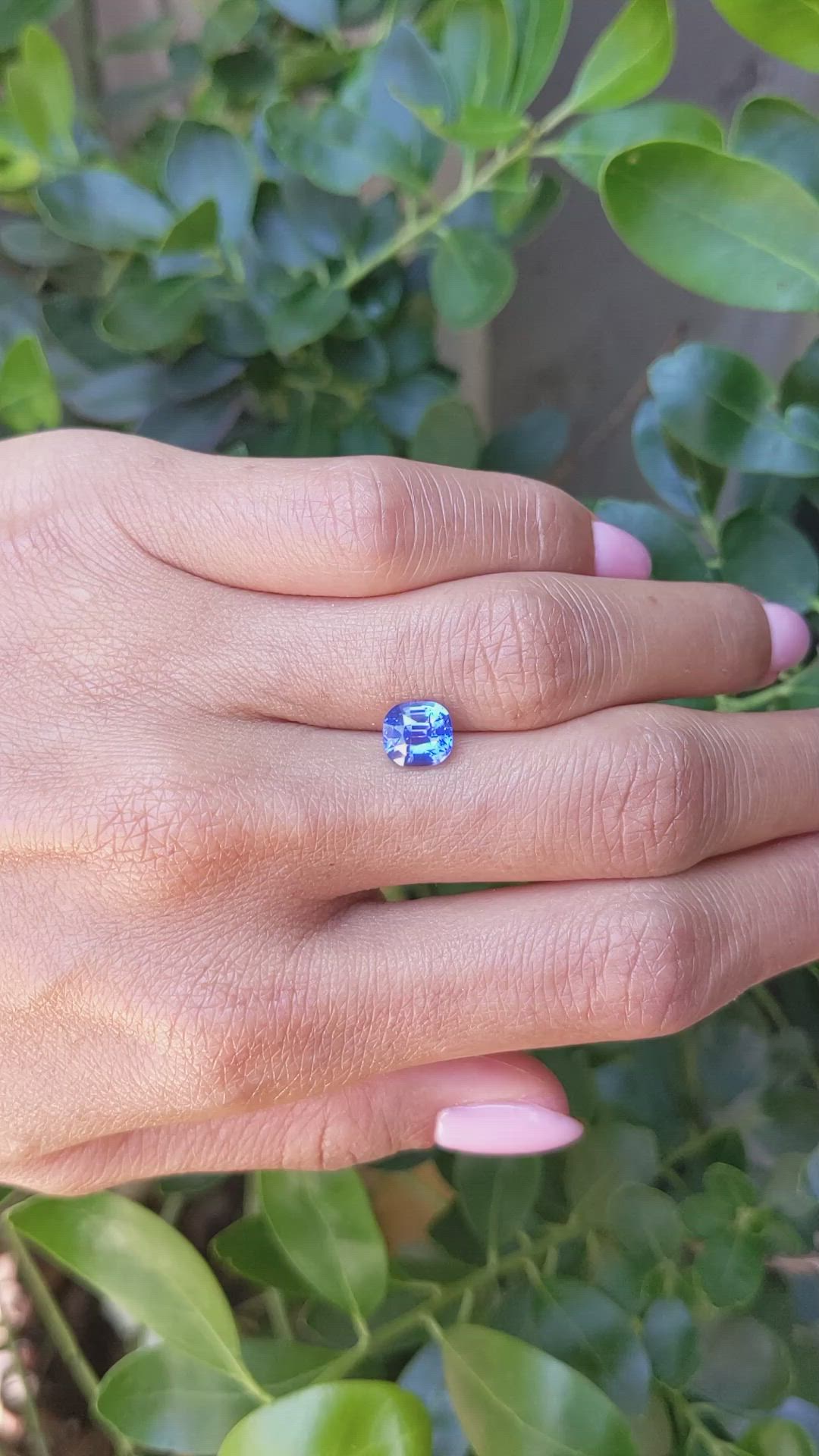 2.06 Ct. Blue Sapphire from Ceylon (Sri Lanka) Size Video