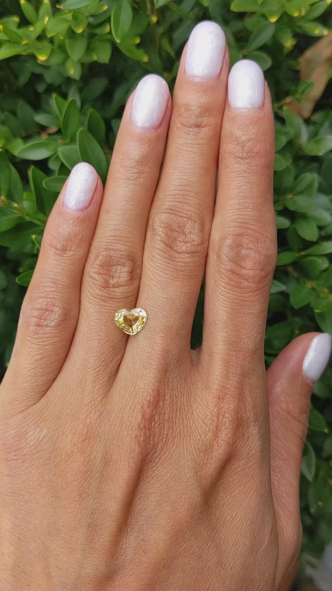 1.78 Ct. Yellow Sapphire from Ceylon (Sri Lanka) Size Video