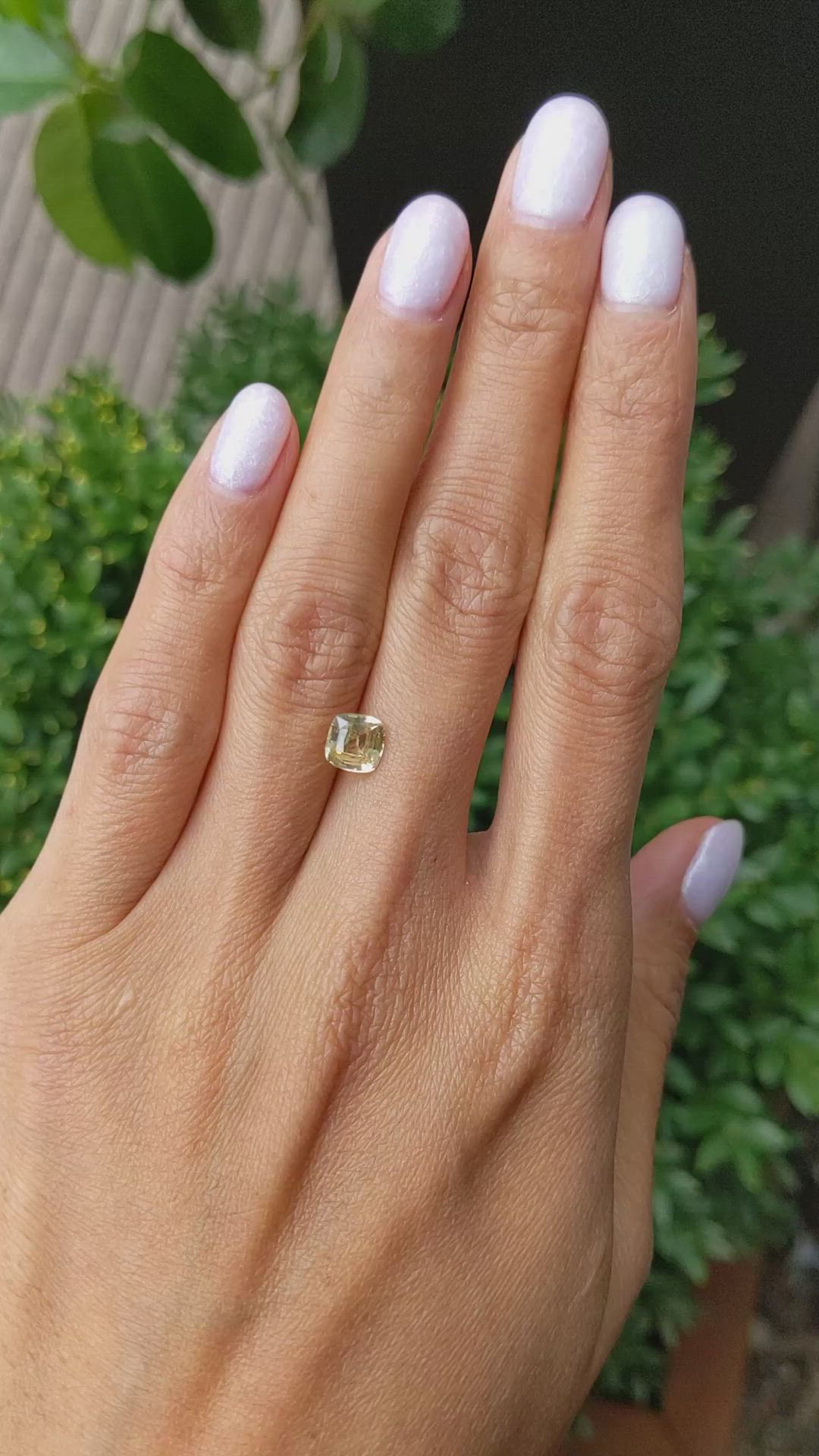 1.55 Ct. Yellow Sapphire from Ceylon (Sri Lanka) Size Video