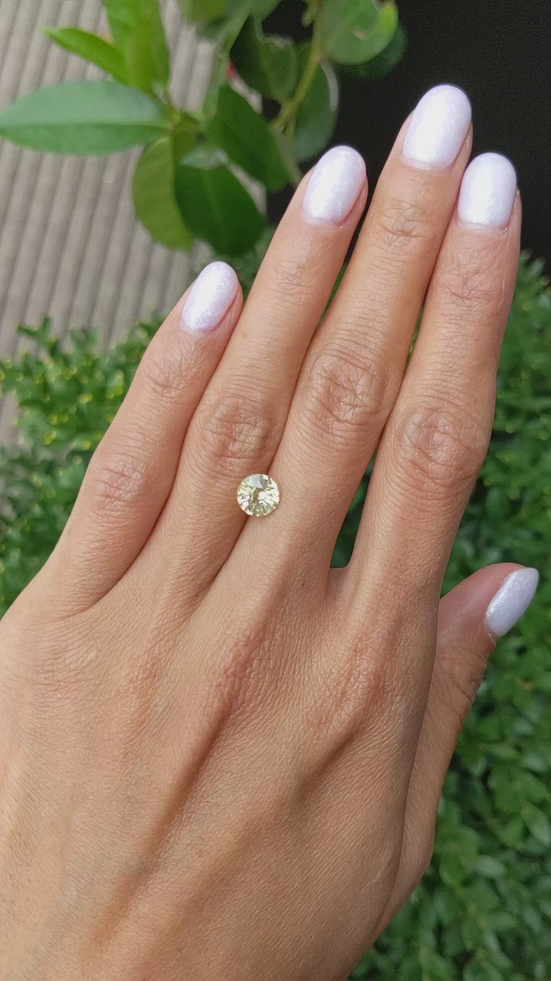 1.63 Ct. Yellow Sapphire from Ceylon (Sri Lanka) Size Video