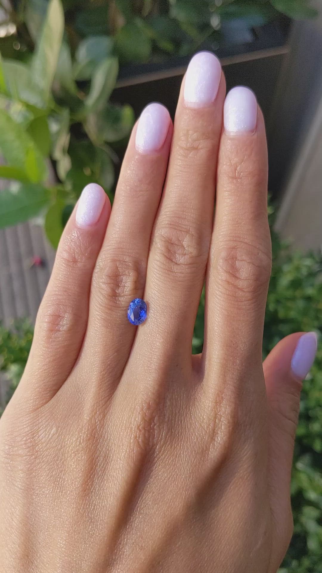 1.38 Ct. Blue Sapphire from Ceylon (Sri Lanka) Size Video