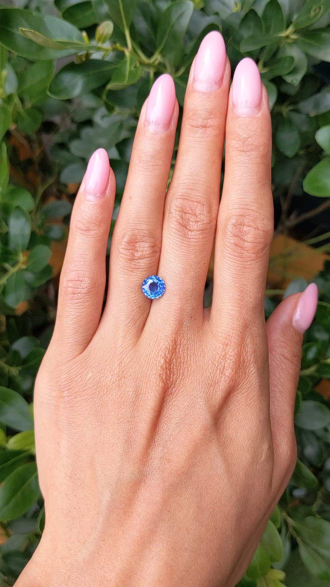 2.06 Ct. Blue Sapphire from Ceylon (Sri Lanka) Size Video