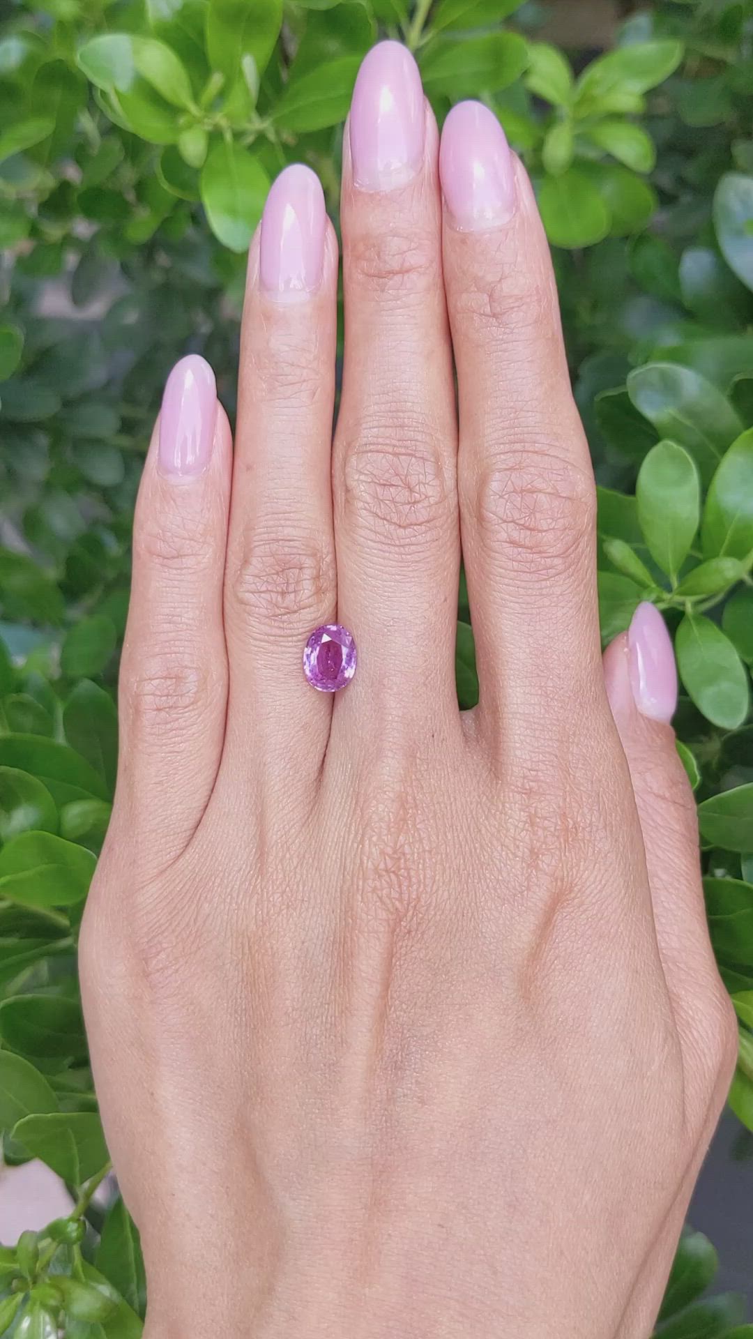 2.04 Ct. Pink Sapphire from Ceylon (Sri Lanka) Size Video