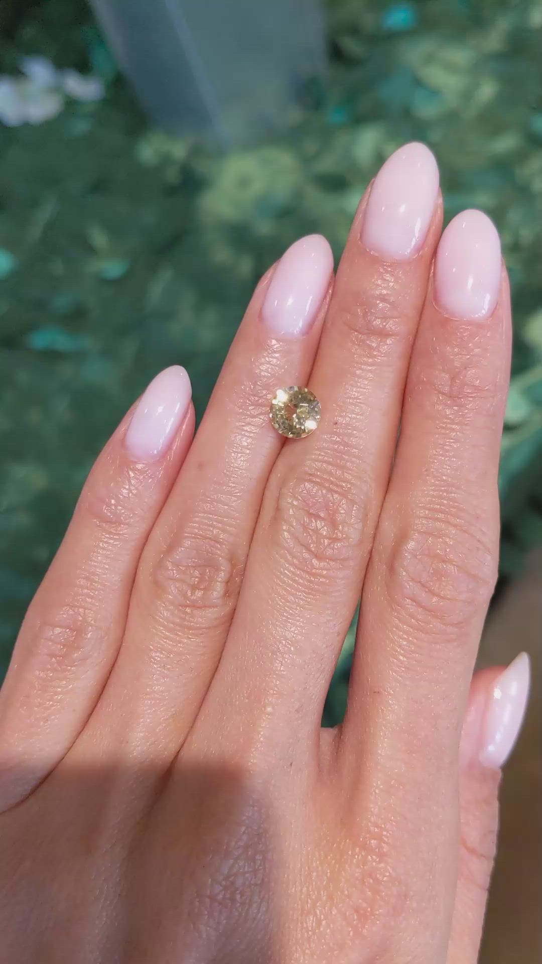 1.75 Ct. Yellow Sapphire from Ceylon (Sri Lanka) Size Video