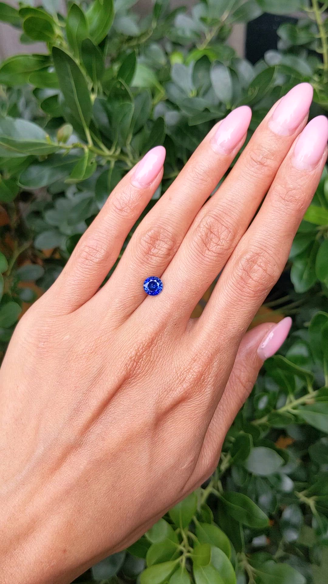 1.59 Ct. Blue Sapphire from Ceylon (Sri Lanka) Size Video