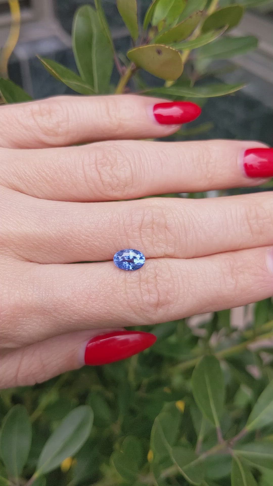 1.55 Ct. Blue Sapphire from Ceylon (Sri Lanka) Size Video
