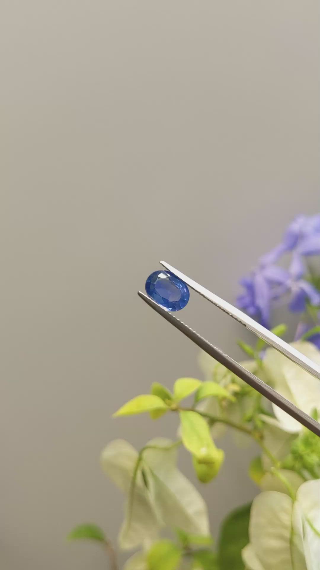 1.42 Ct. Blue Sapphire from Ceylon (Sri Lanka) Size Video