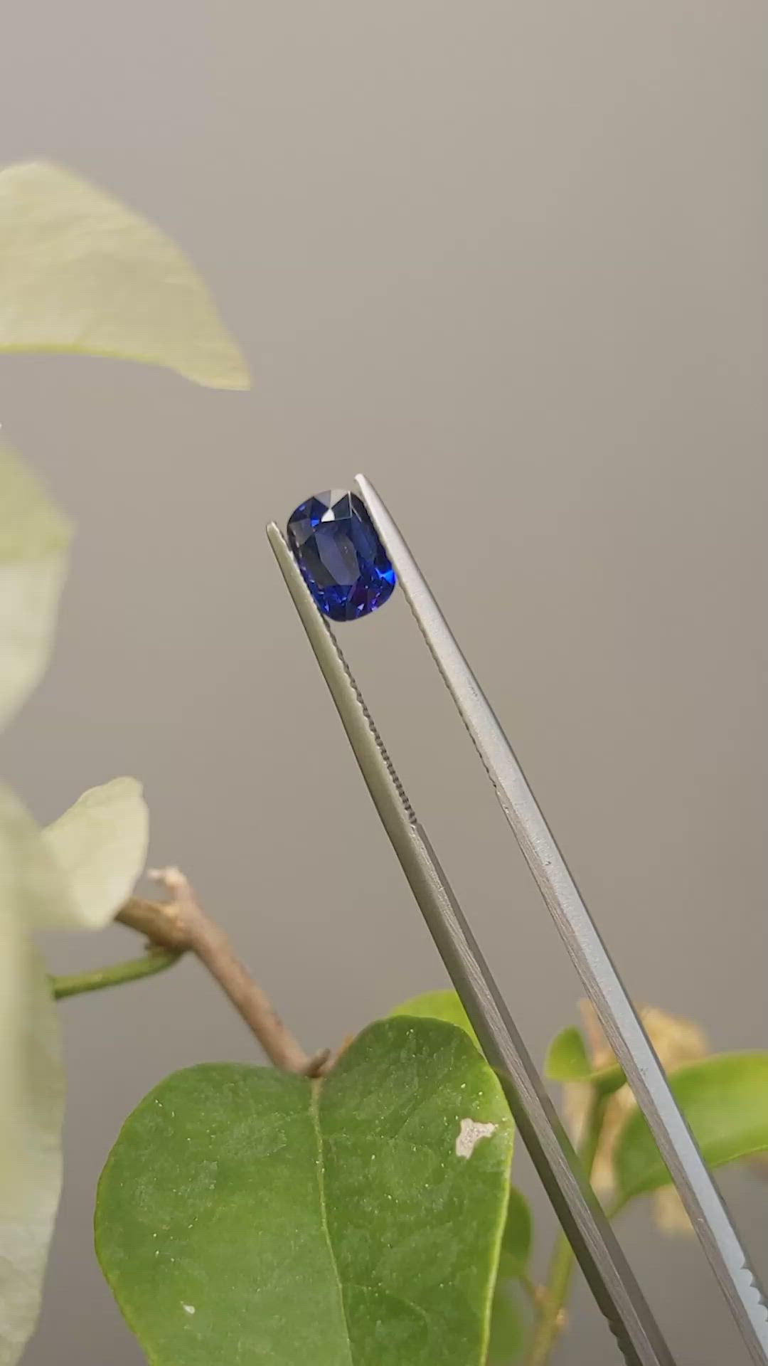 1.07 Ct. Blue Sapphire from Ceylon (Sri Lanka) Size Video