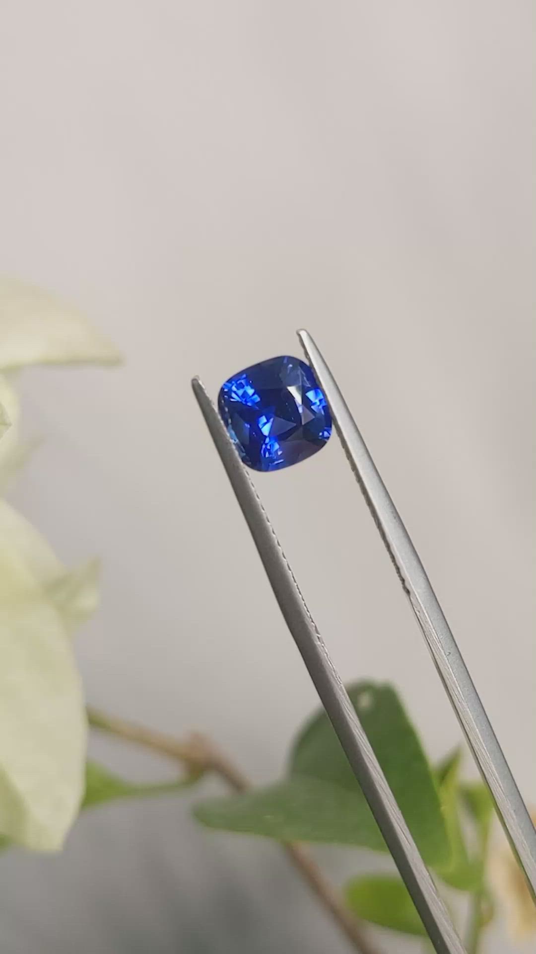 1.58 Ct. Blue Sapphire from Ceylon (Sri Lanka) Size Video