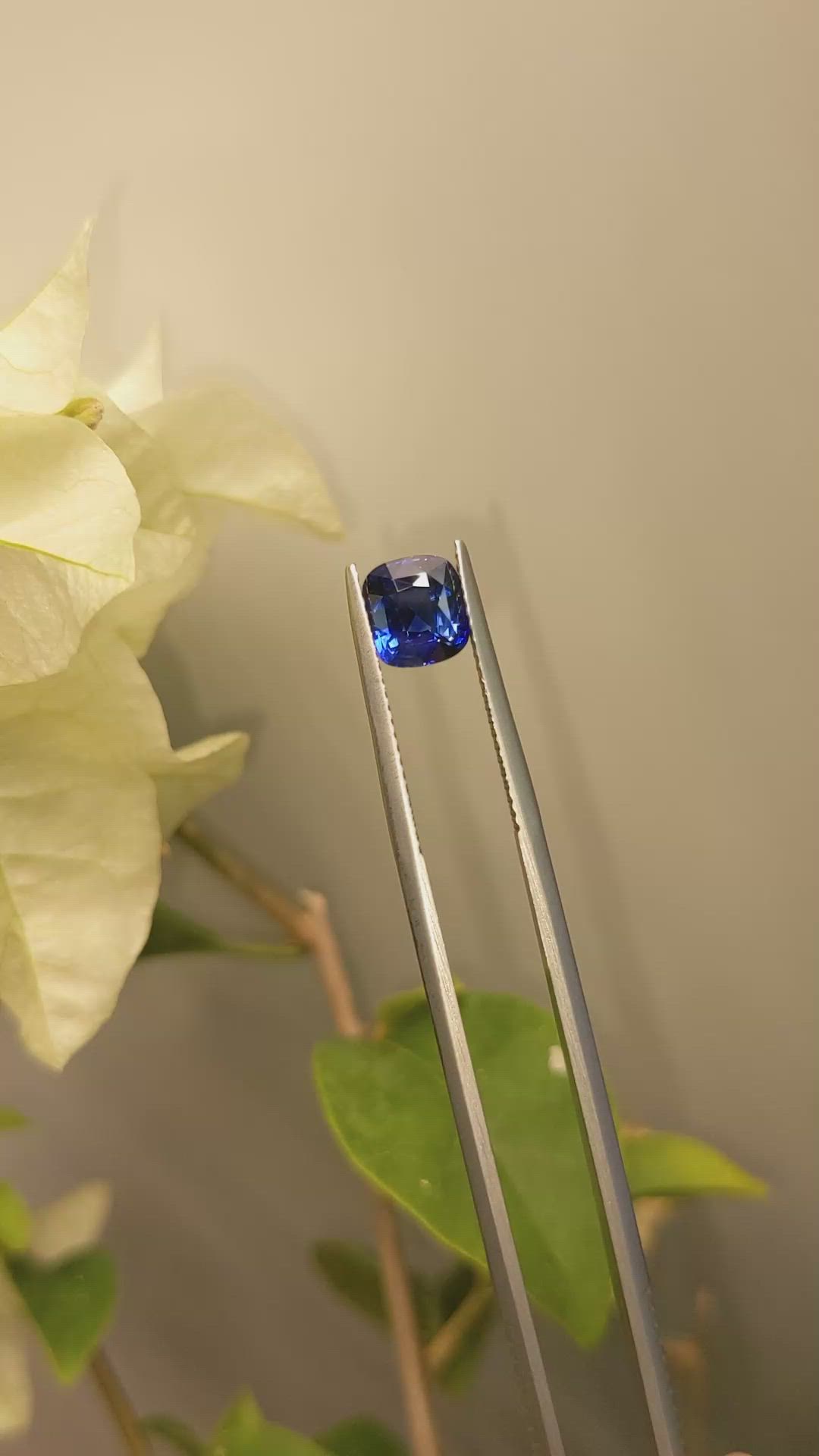 1.69 Ct. Blue Sapphire from Ceylon (Sri Lanka) Size Video