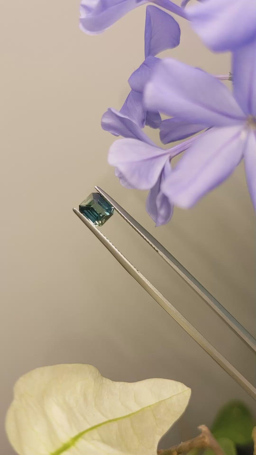 1.58 Ct. Bluish Green Sapphire from Ceylon (Sri Lanka) Size Video