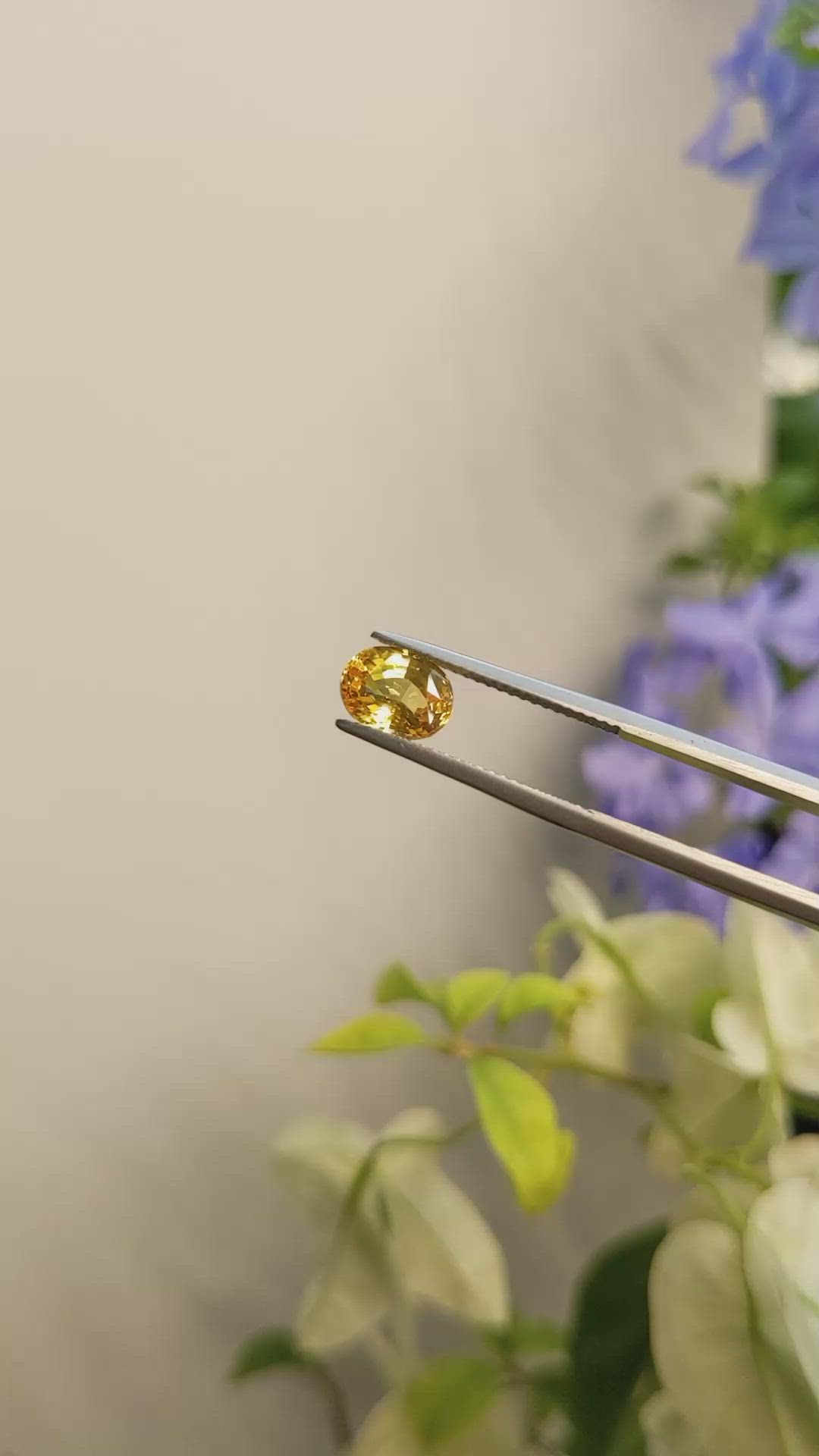 2.01 Ct. Orangish Yellow Sapphire from Ceylon (Sri Lanka) Size Video