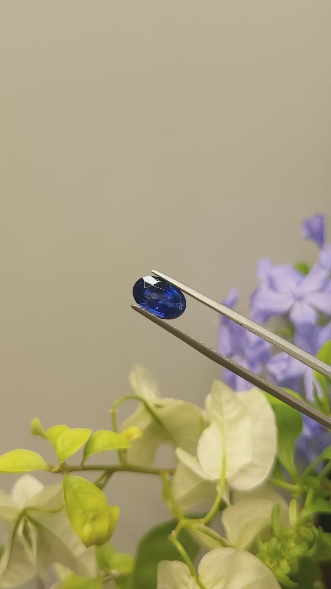 2.65 Ct. Blue Sapphire from Ceylon (Sri Lanka) Size Video