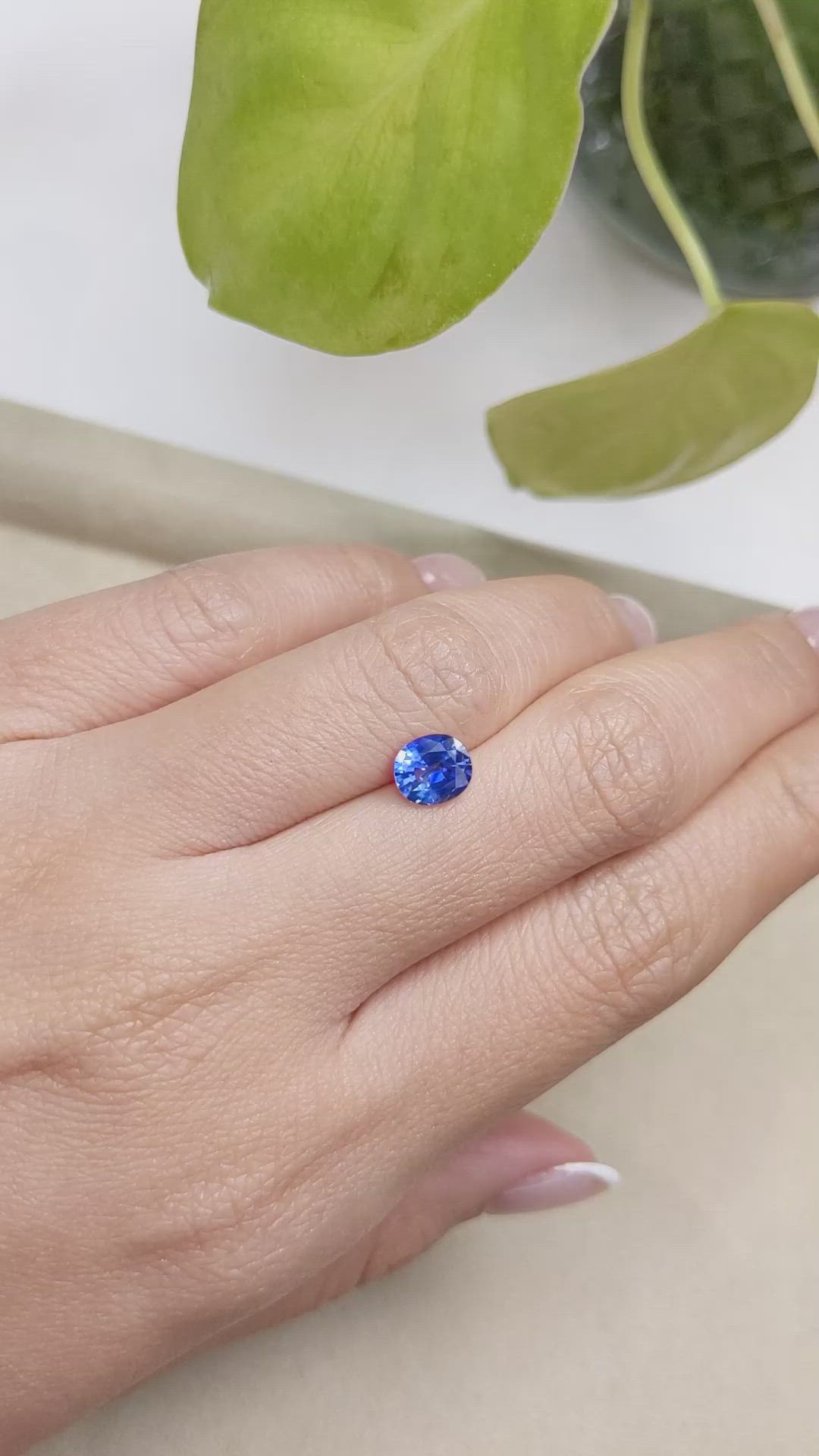 1.24 Ct. Blue Sapphire from Ceylon (Sri Lanka) Size Video