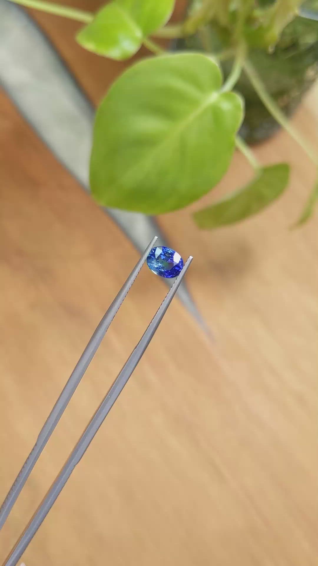 1.52 Ct. Blue Sapphire from Ceylon (Sri Lanka) Size Video