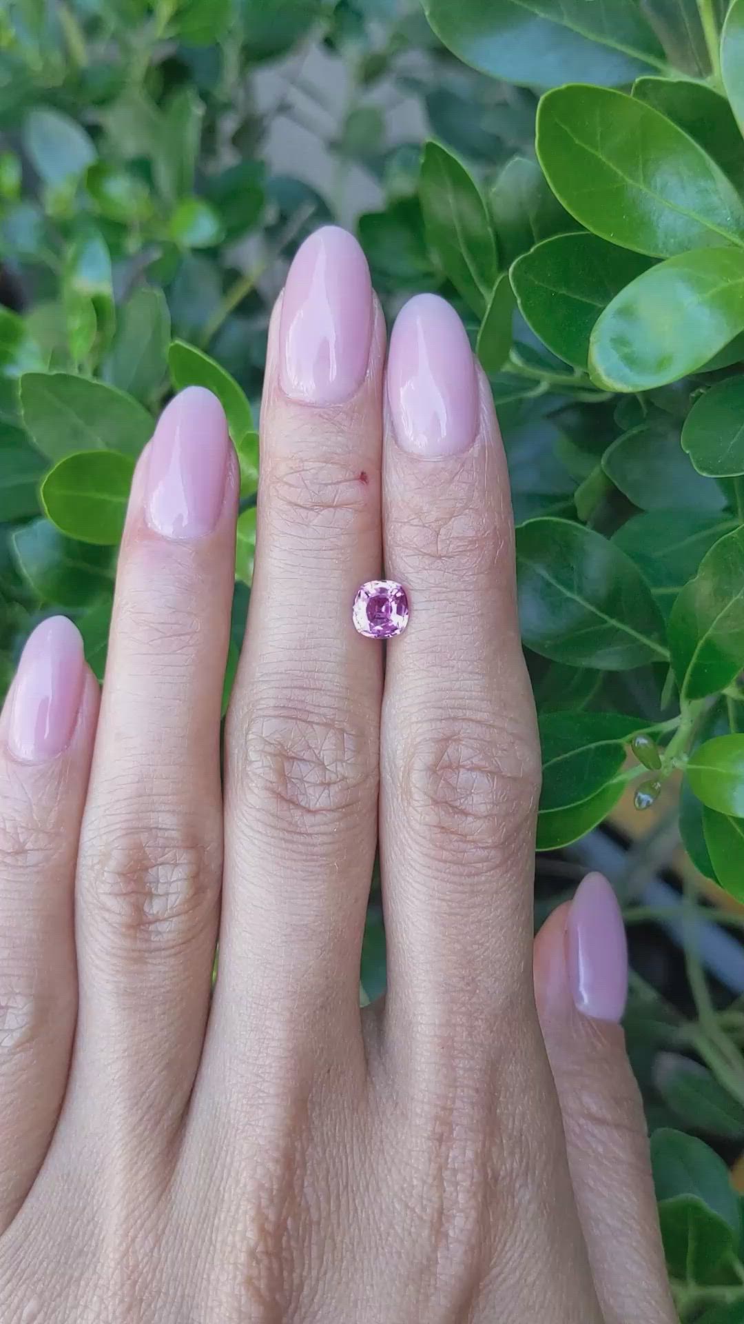 1.15 Ct. Purplish Pink Sapphire from Ceylon (Sri Lanka) Size Video