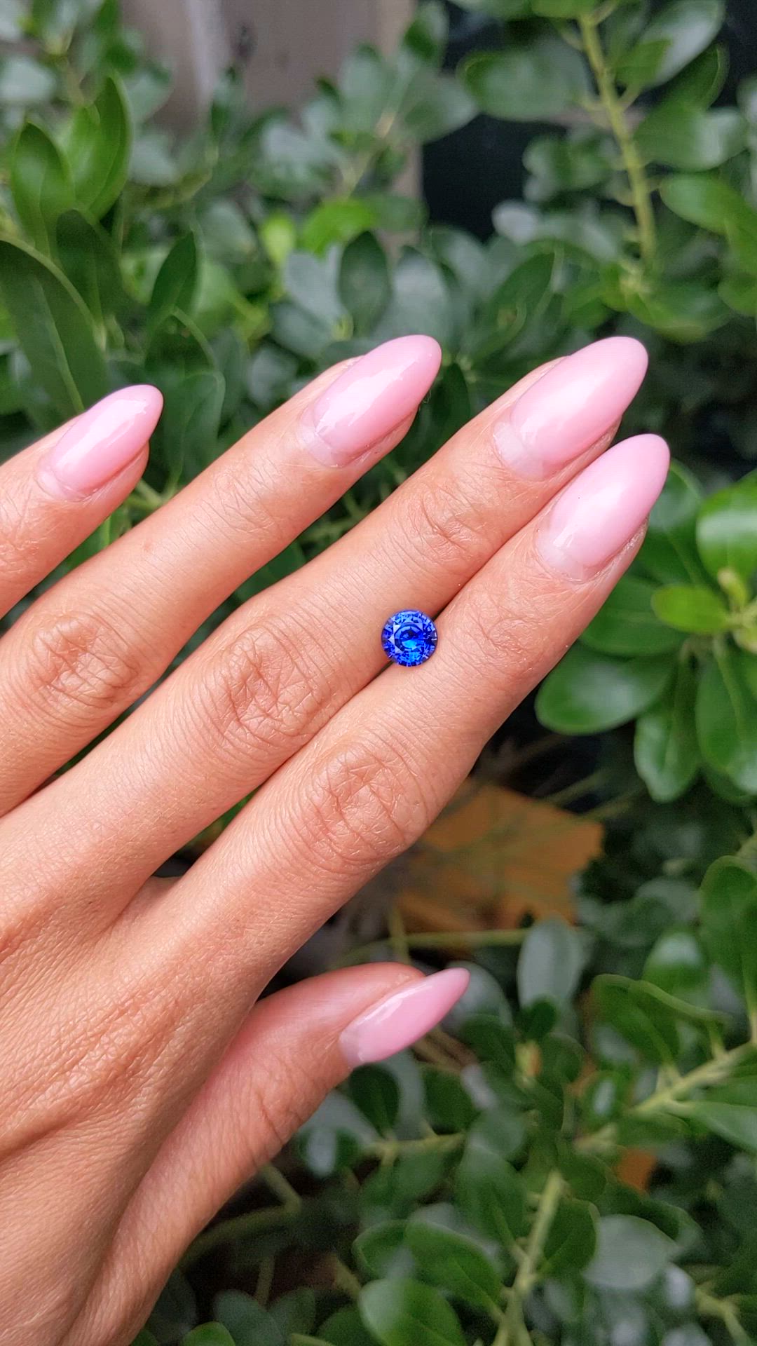 1.42 Ct. Blue Sapphire from Ceylon (Sri Lanka) Size Video