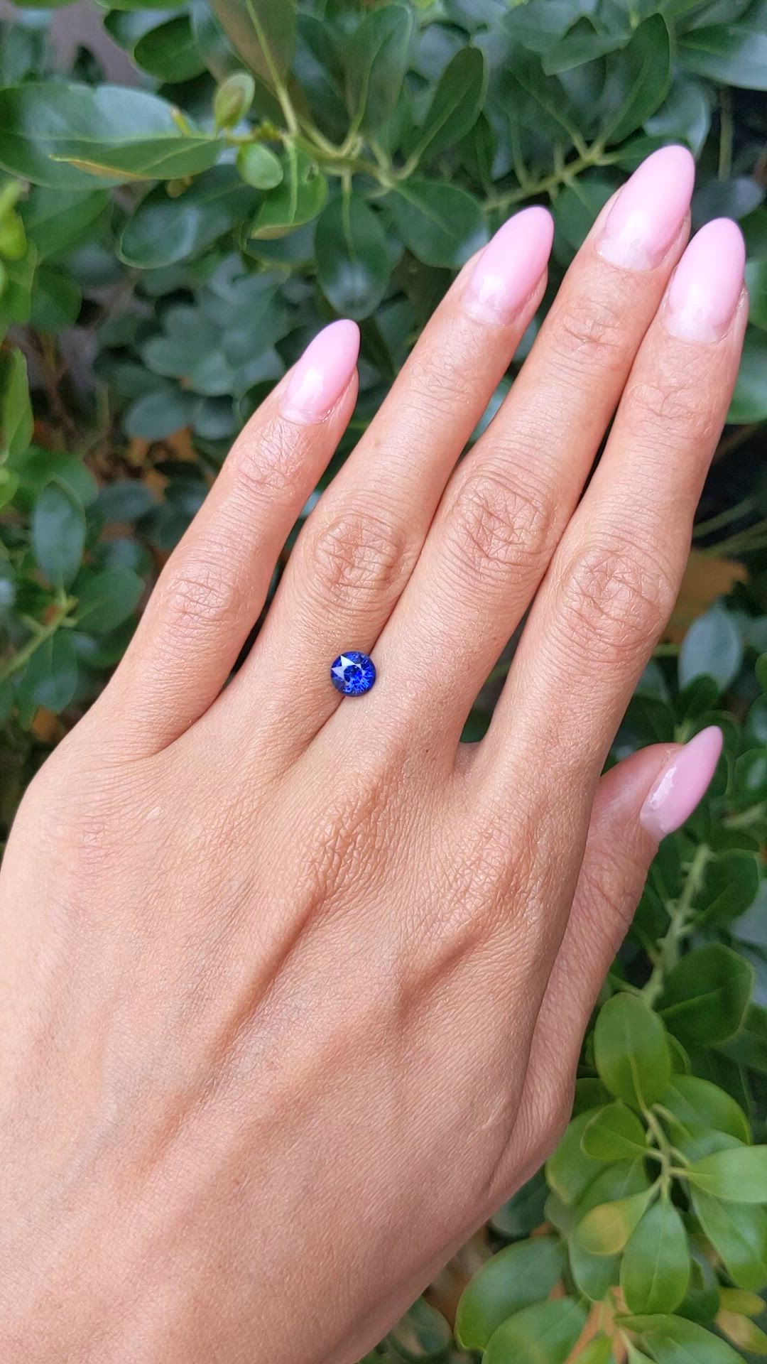 1.14 Ct. Blue Sapphire from Ceylon (Sri Lanka) Size Video
