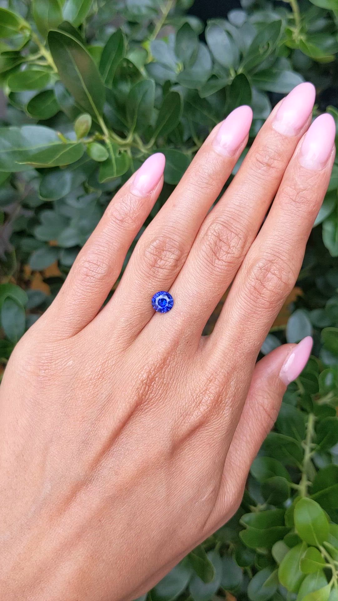1.39 Ct. Blue Sapphire from Ceylon (Sri Lanka) Size Video