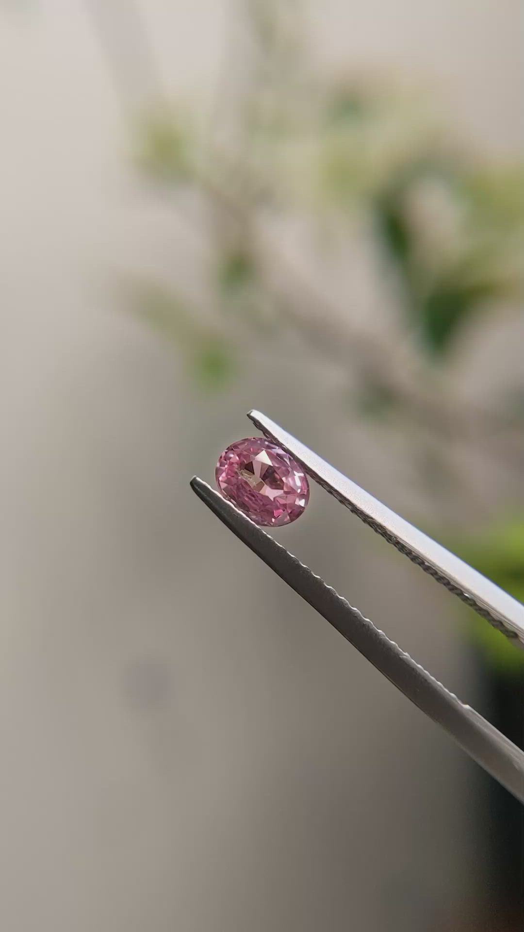 0.60 Ct. Pink Sapphire from Madagascar Size Video