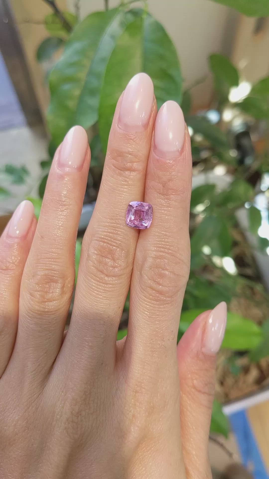 2.30 Ct. Pink Sapphire from Ceylon (Sri Lanka) Size Video
