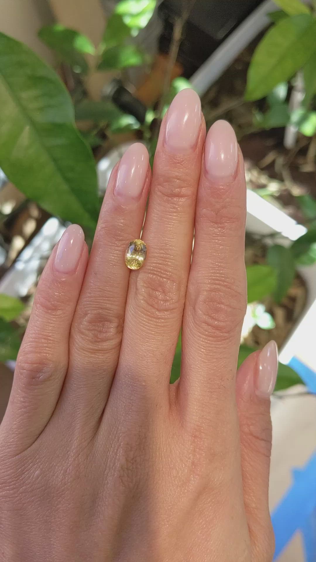 2.08 Ct. Yellow Sapphire from Ceylon (Sri Lanka) Size Video