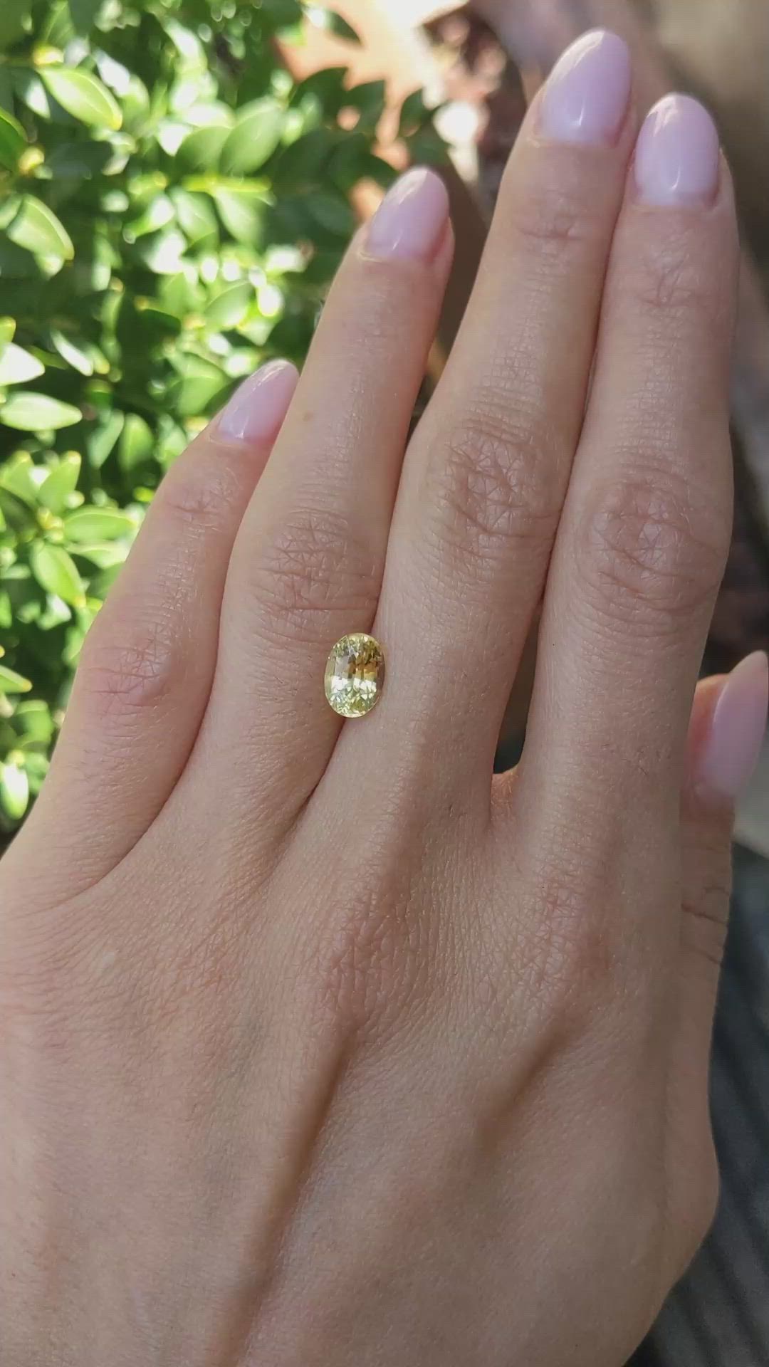 2.08 Ct. Yellow Sapphire from Ceylon (Sri Lanka) Size Video